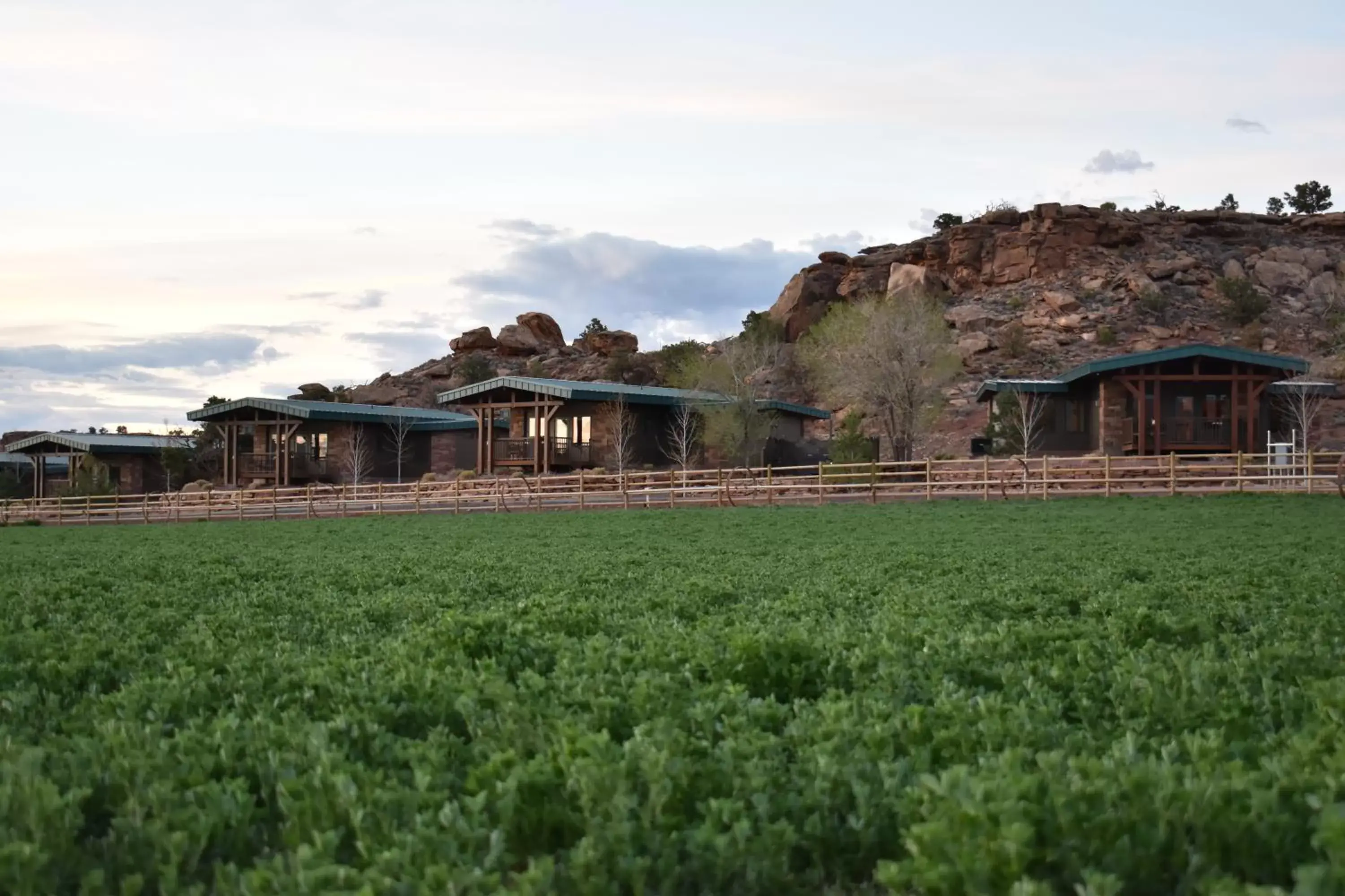 Property Building in Cougar Ridge