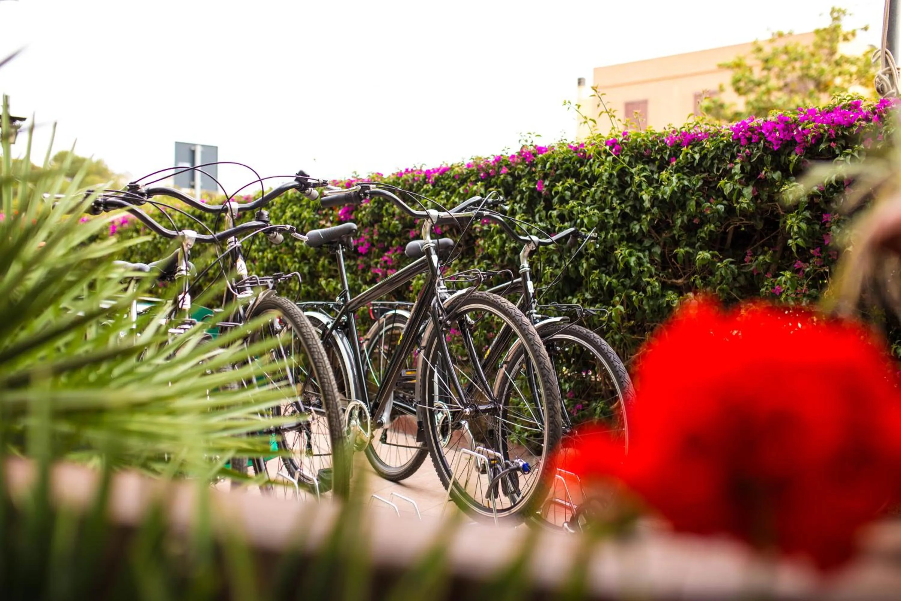 Activities in Hotel Villa Piras