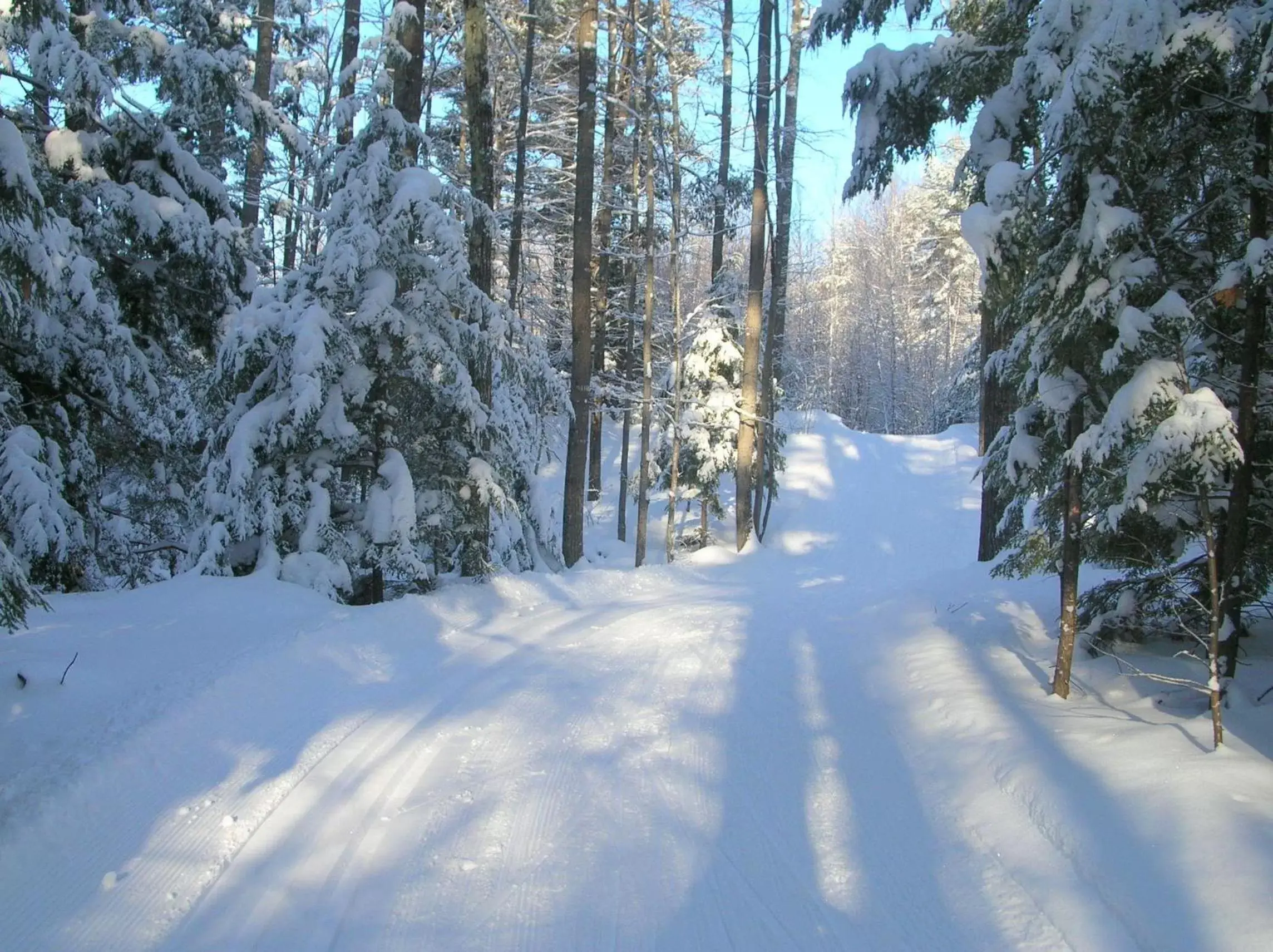 Winter in Wolfeboro Inn