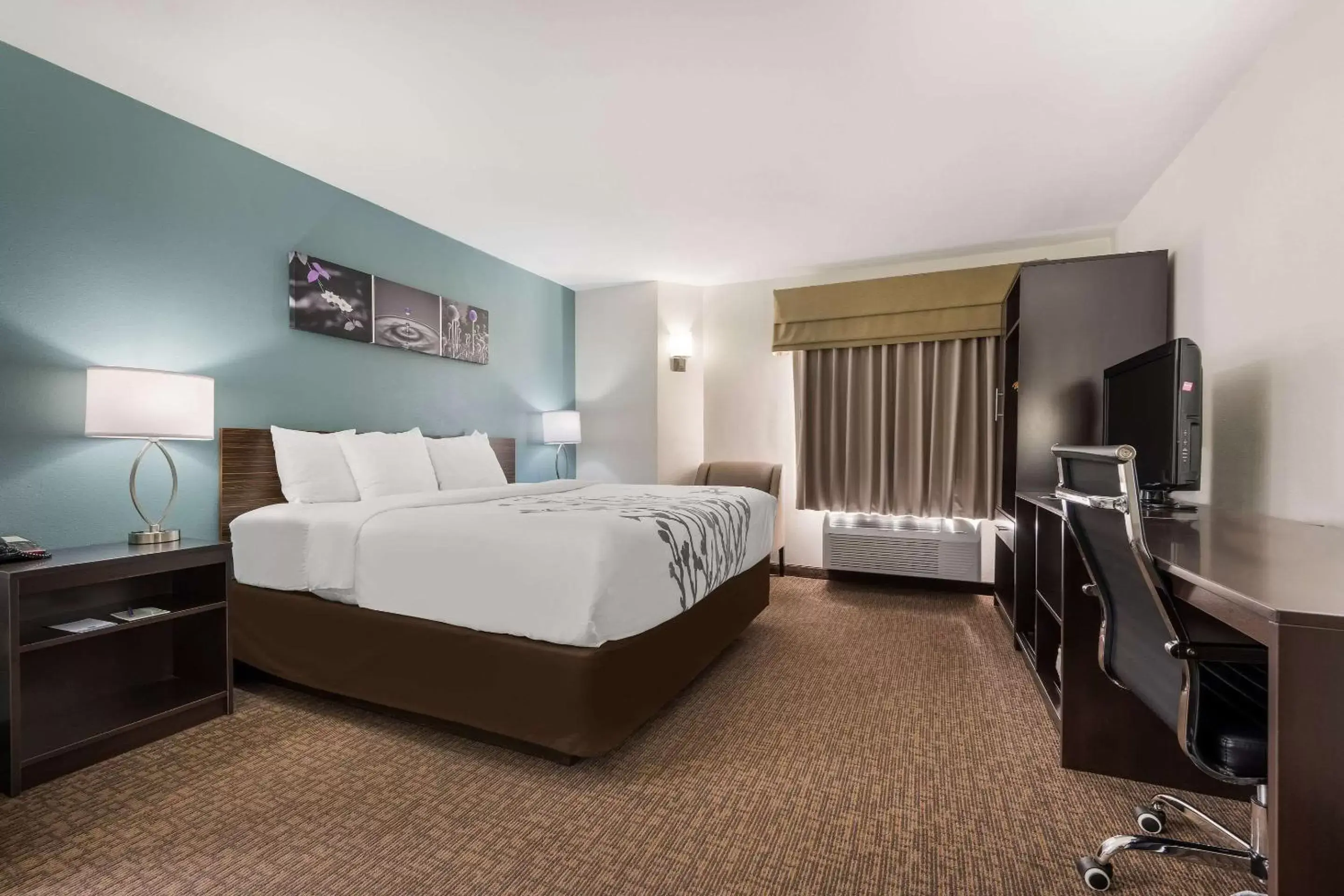 Bedroom, TV/Entertainment Center in Sleep Inn & Suites Cullman I-65 exit 310
