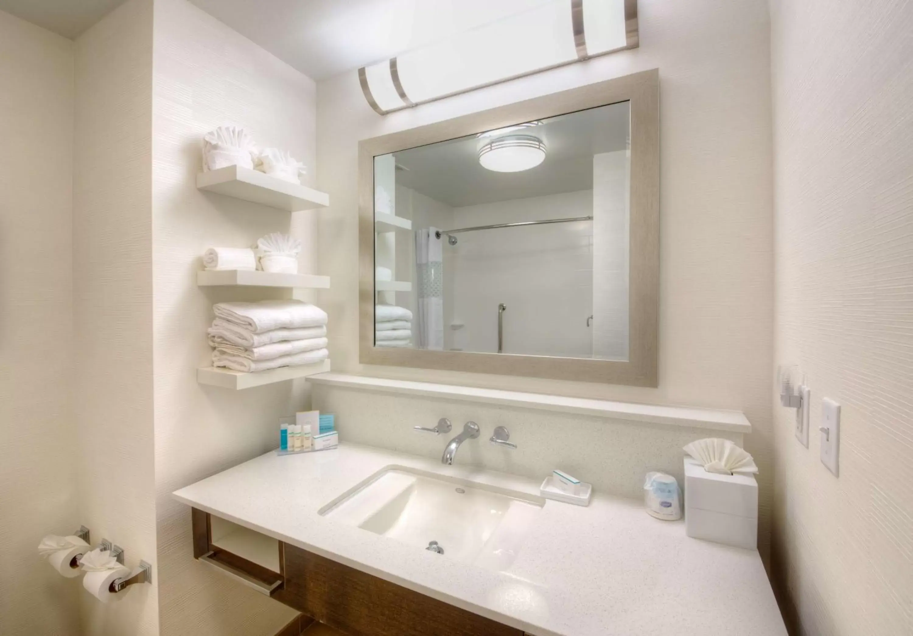 Bathroom in Hampton Inn & Suites Dallas/Plano-East