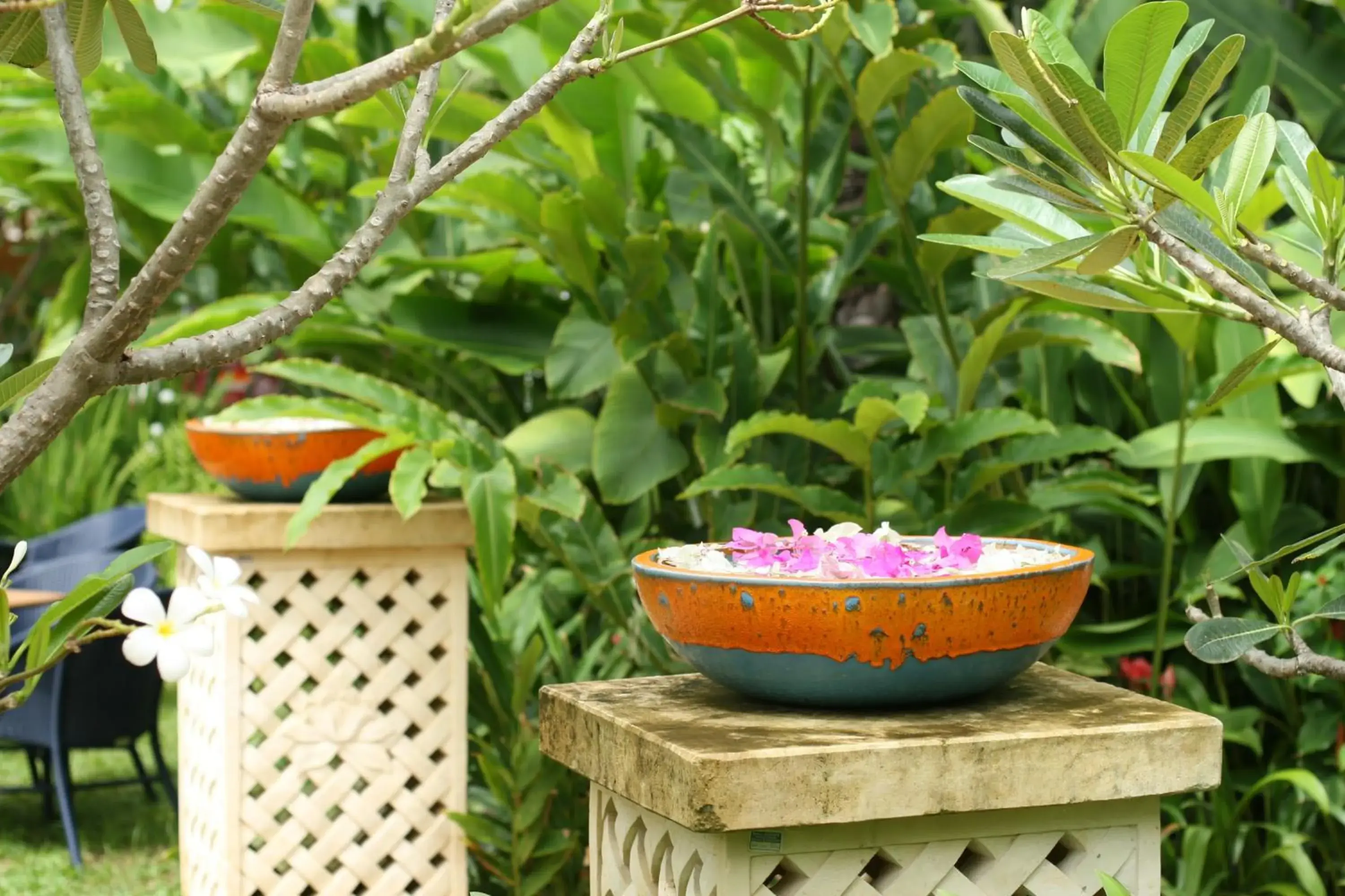 Garden in Ban Keaw Villas