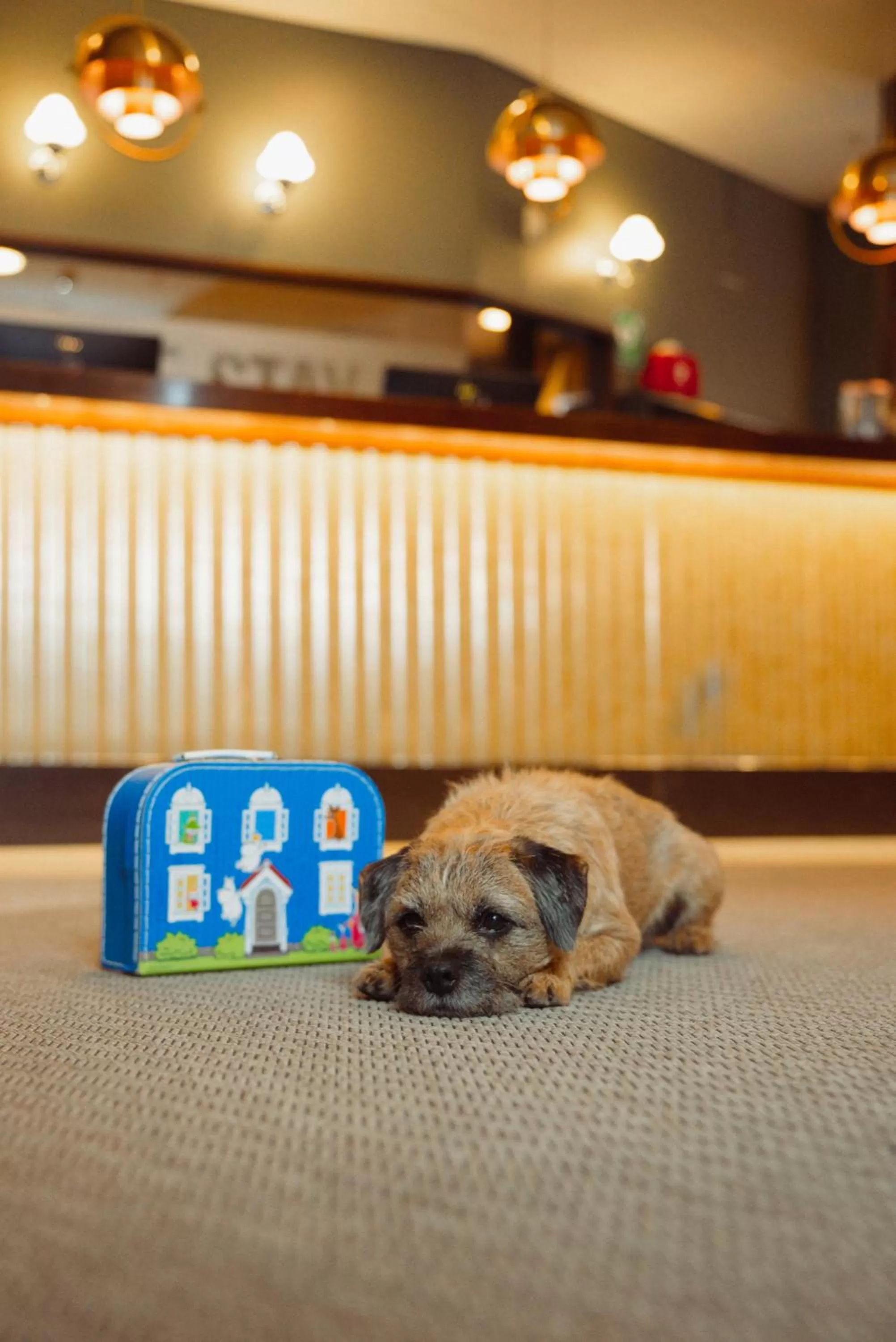 Lobby or reception in Clarion Hotel Winn