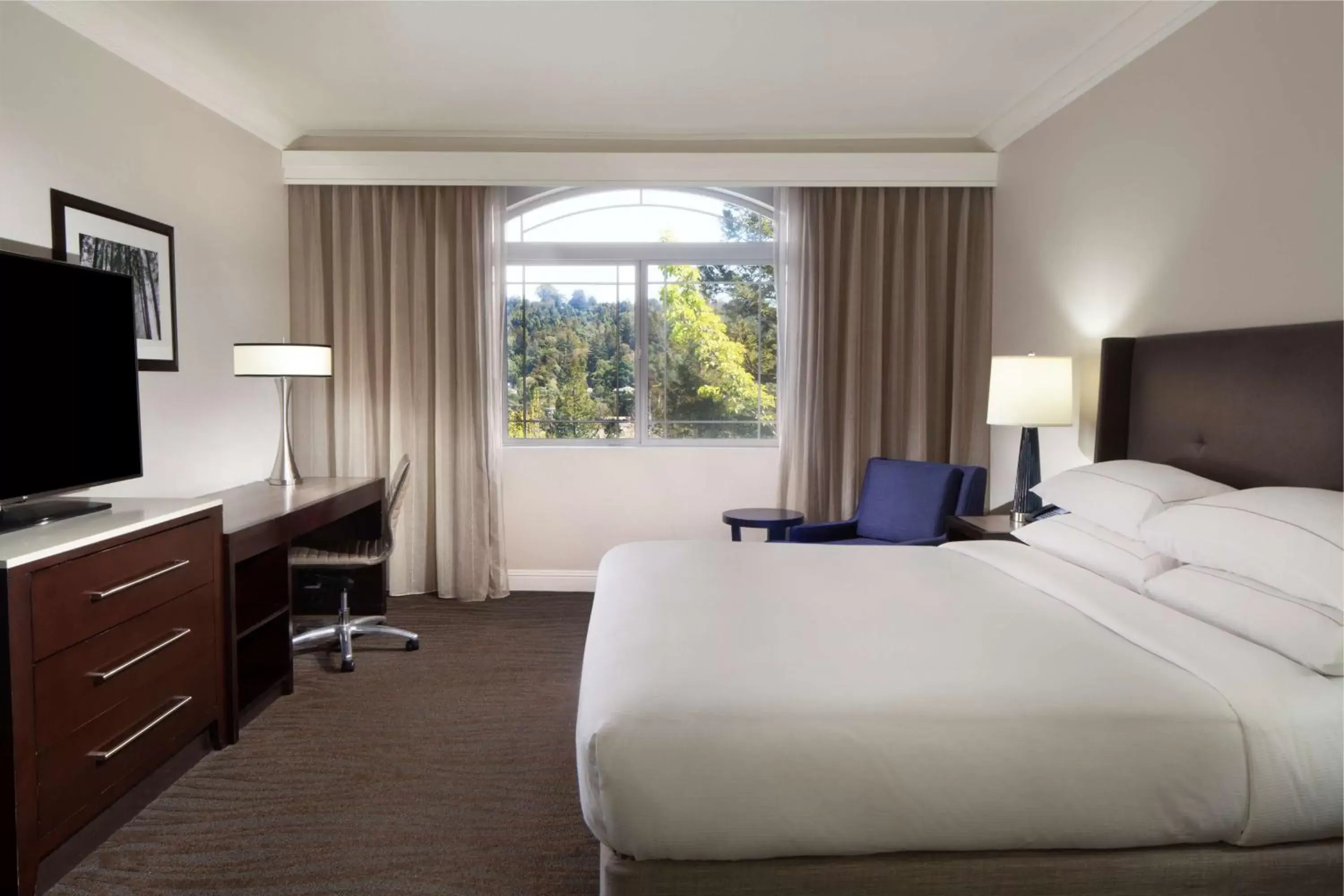 Bedroom, Bed in Hilton Santa Cruz Scotts Valley