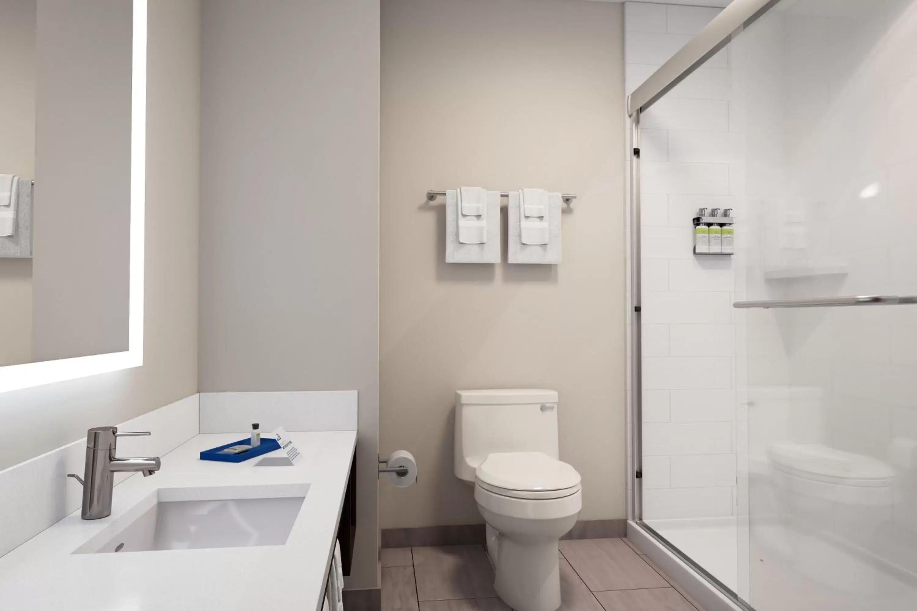 Bathroom in Holiday Inn Express & Suites - Toronto Airport South, an IHG Hotel