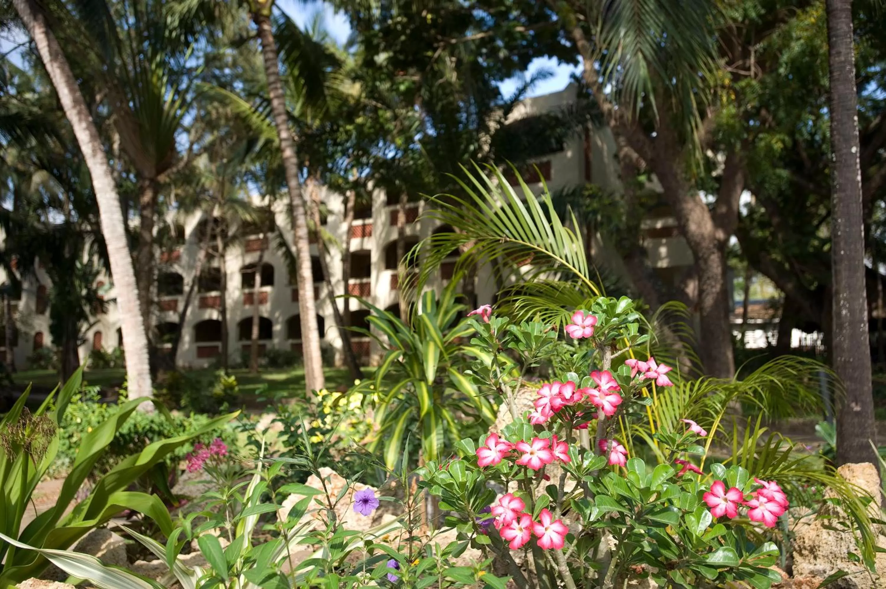Garden in Severin Sea Lodge