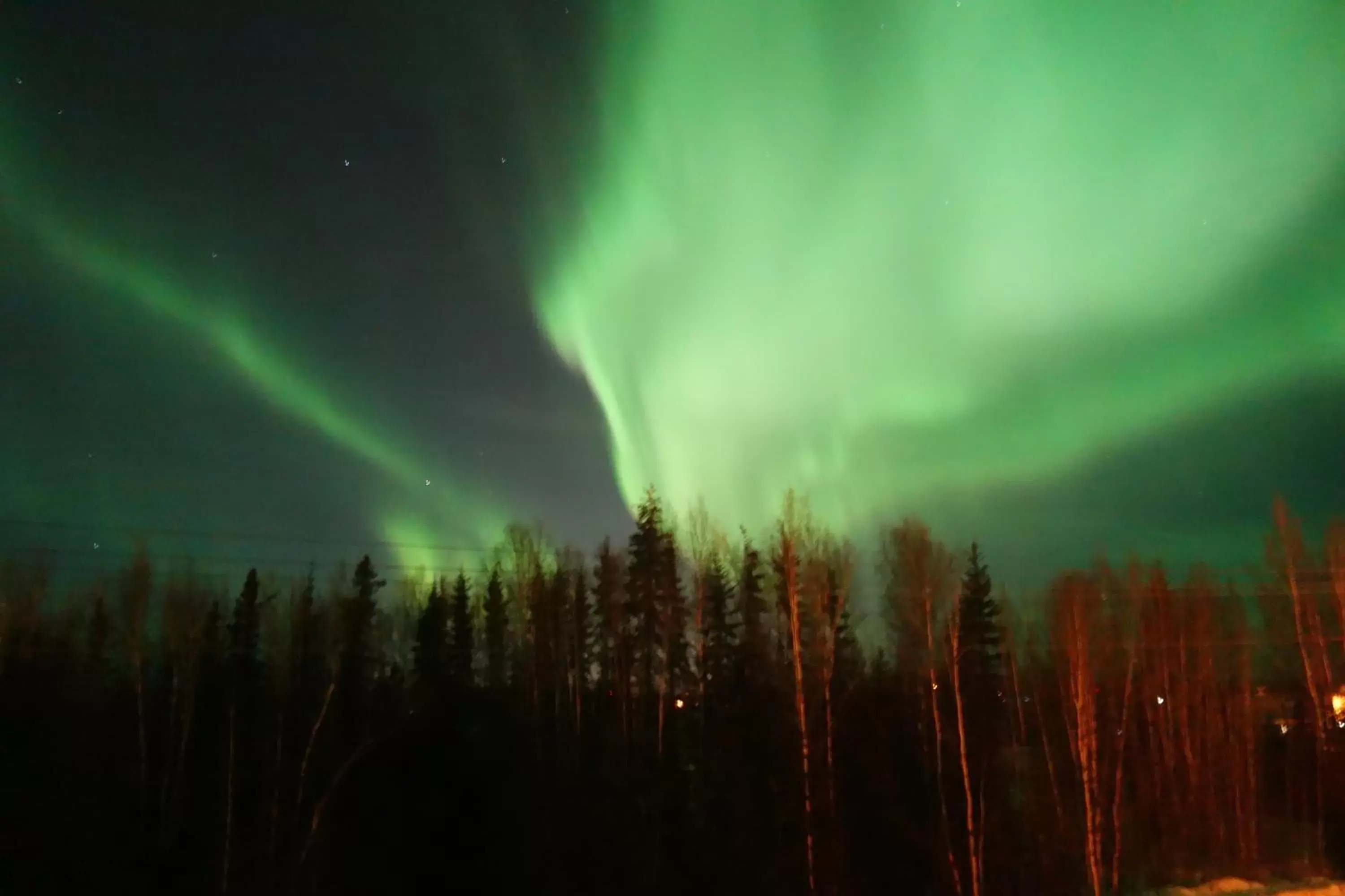 Winter in Hotel North Pole