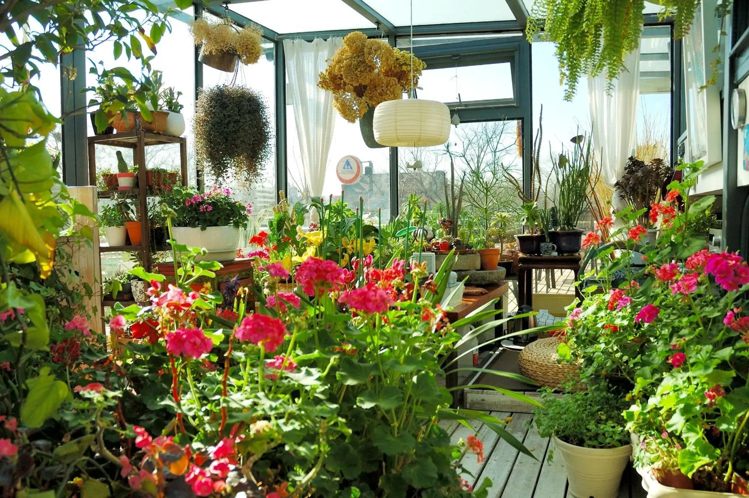 Balcony/Terrace in Peking International Youth Hostel