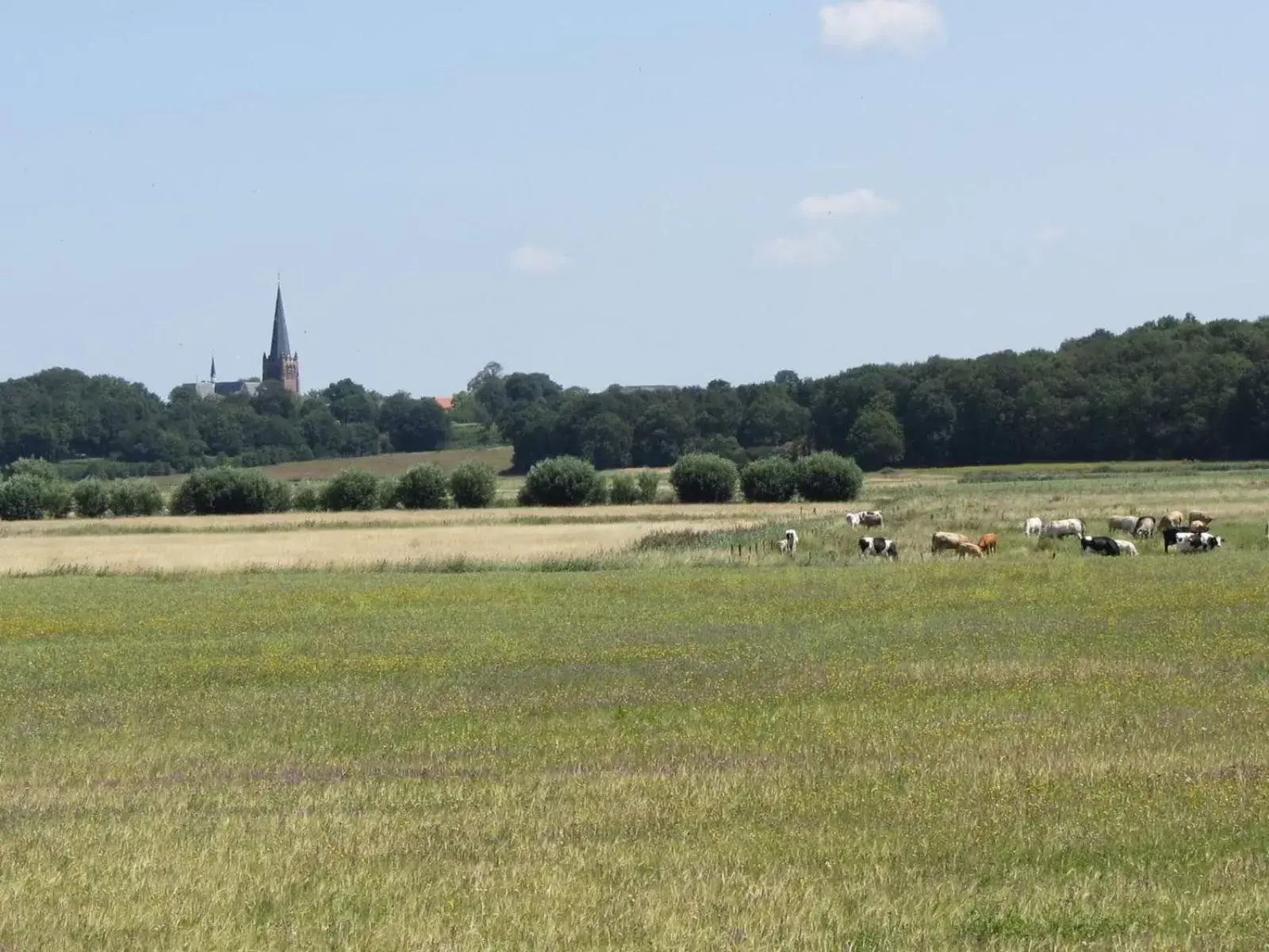 Natural landscape in Hotel Dekkers