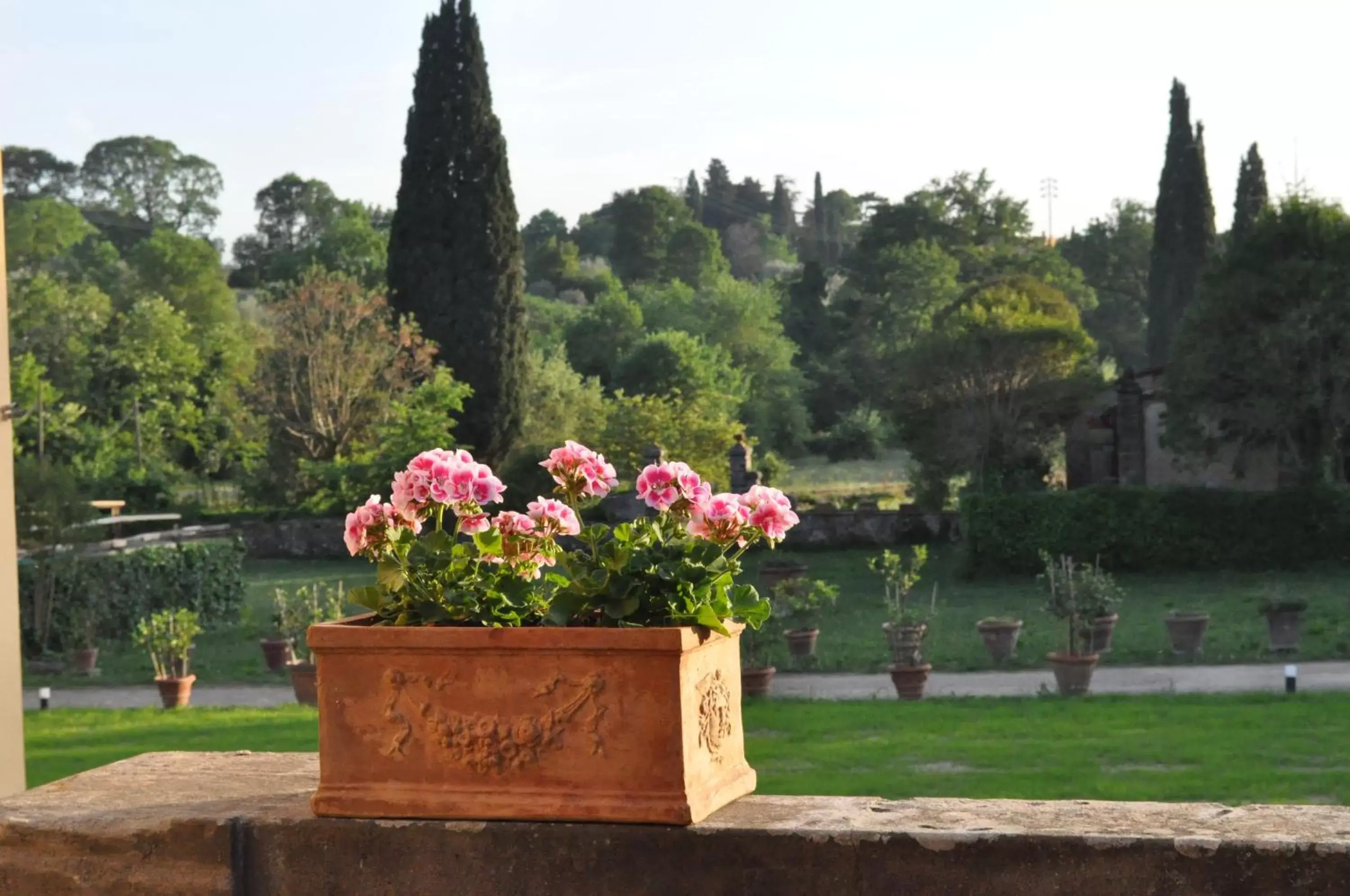 Garden view, Garden in Armonie di Villa Incontri B&B