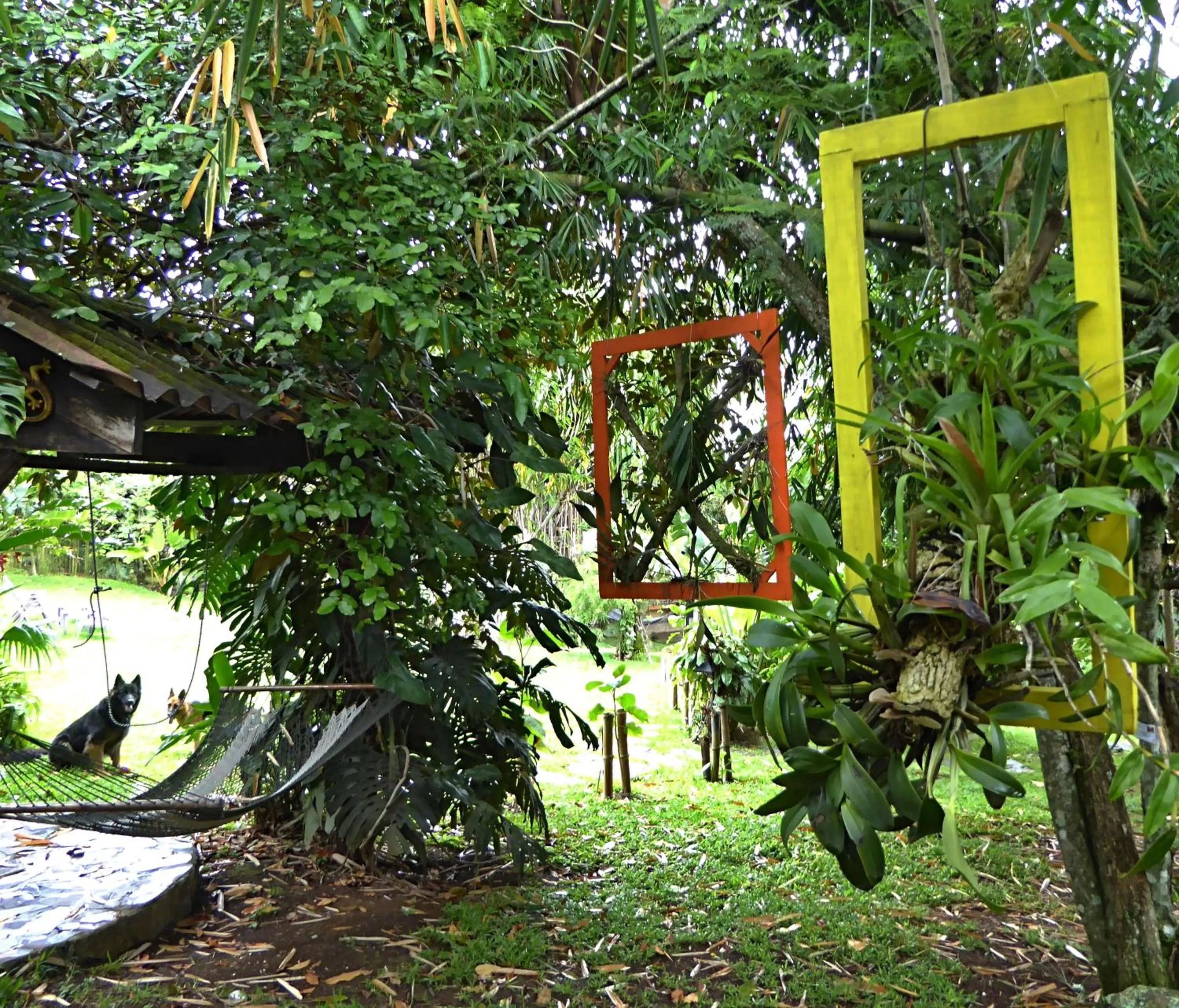 Garden in Pura Vida Hotel