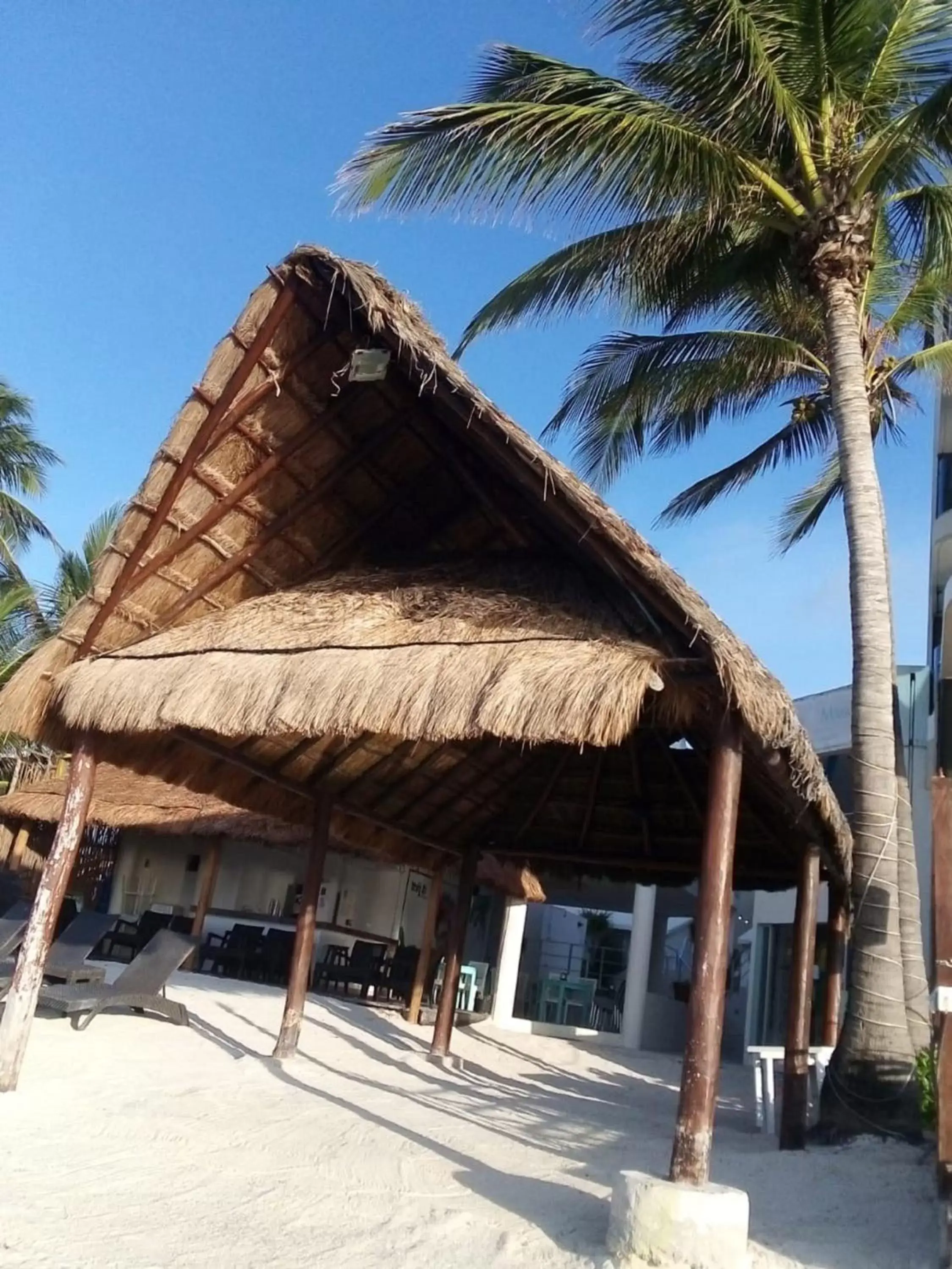 Beach, Property Building in Playa Maya by MIJ - Beachfront Hotel
