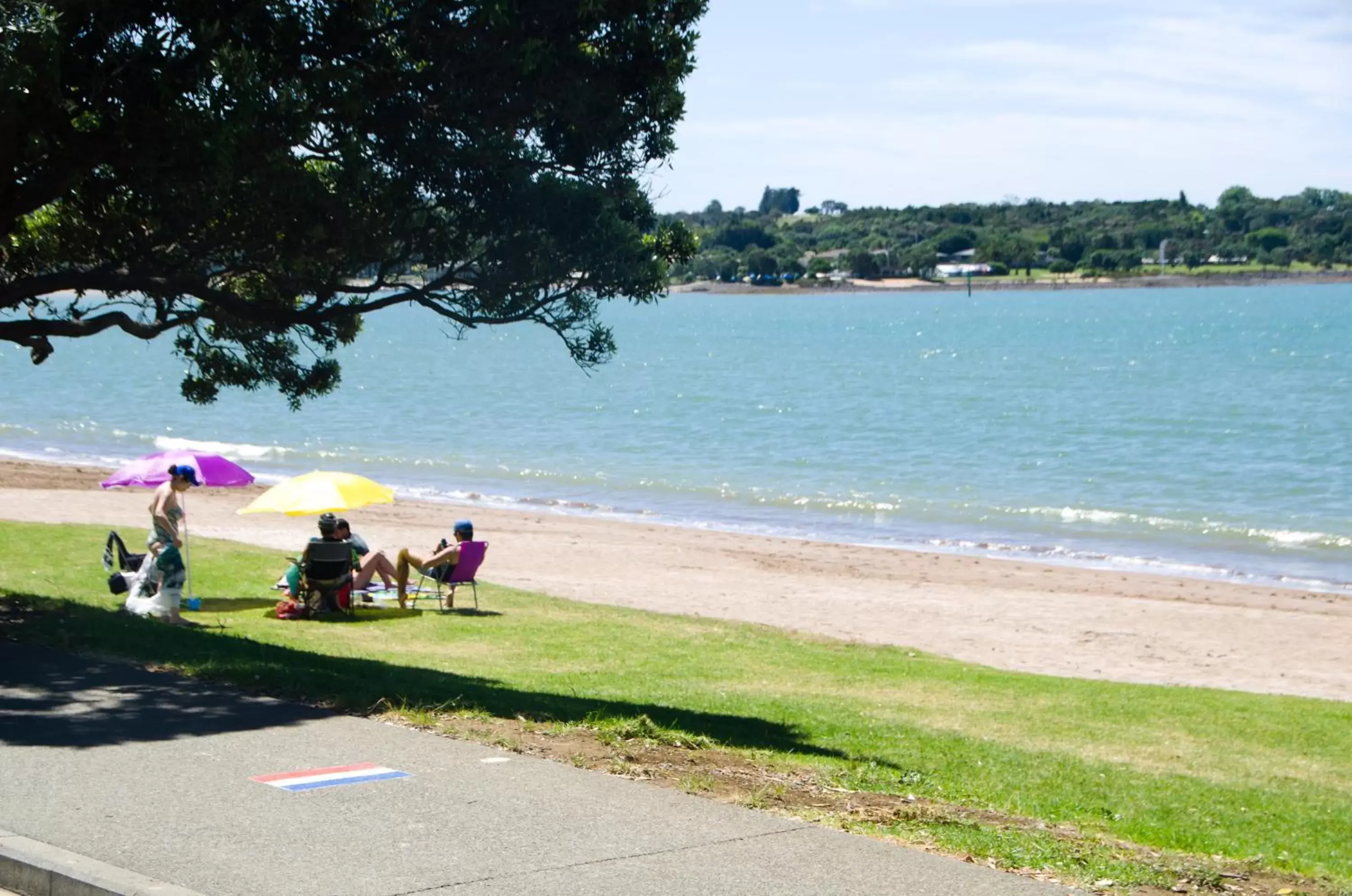 Area and facilities, Beach in Bay Sands Seafront Studios