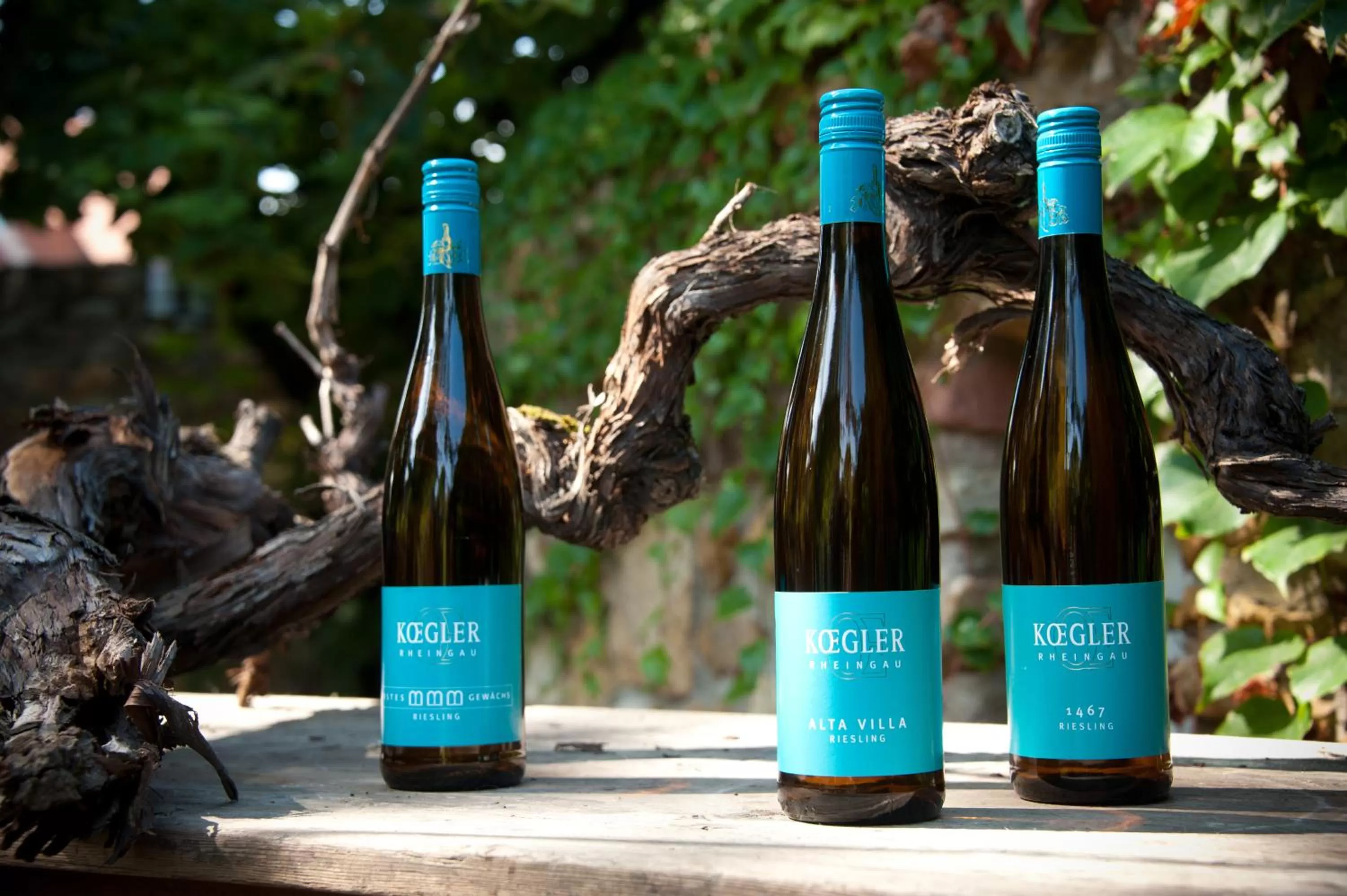 Alcoholic drinks in Weinhotel Koegler