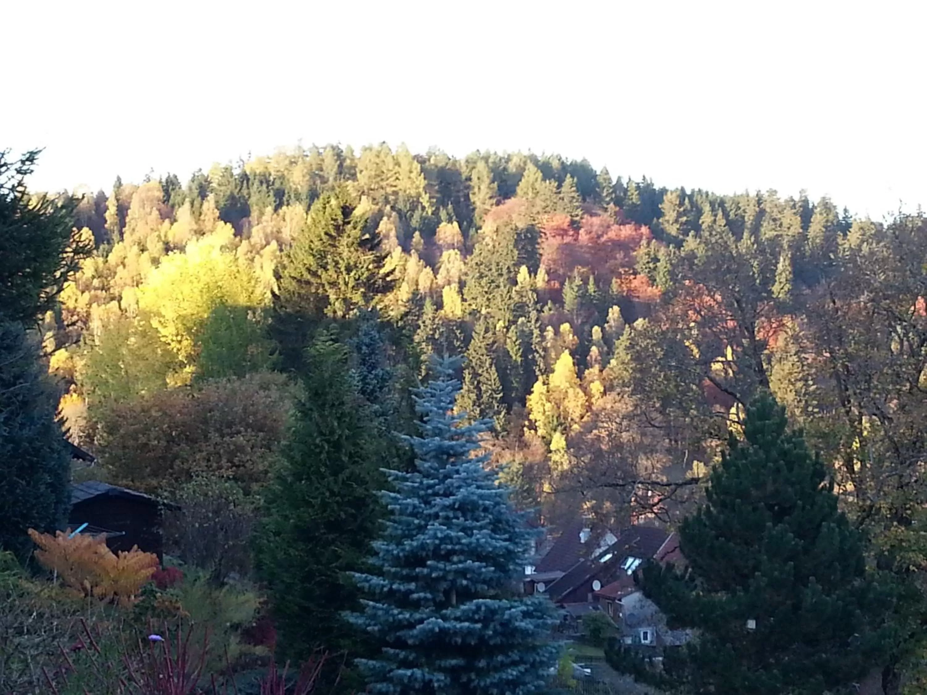 View (from property/room), Bird's-eye View in Pension Haus Petra