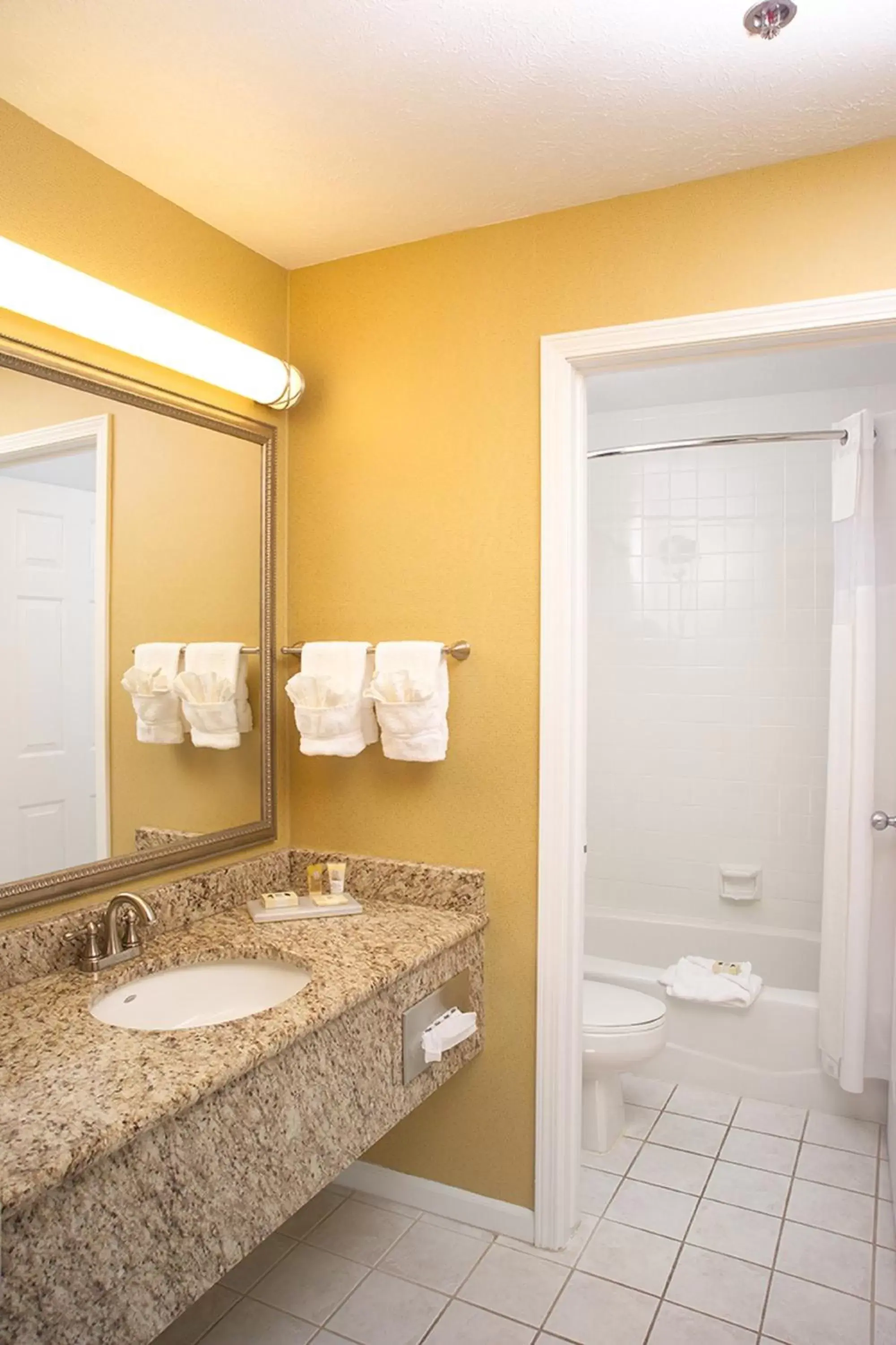 Bathroom in Ivy Court Inn and Suites