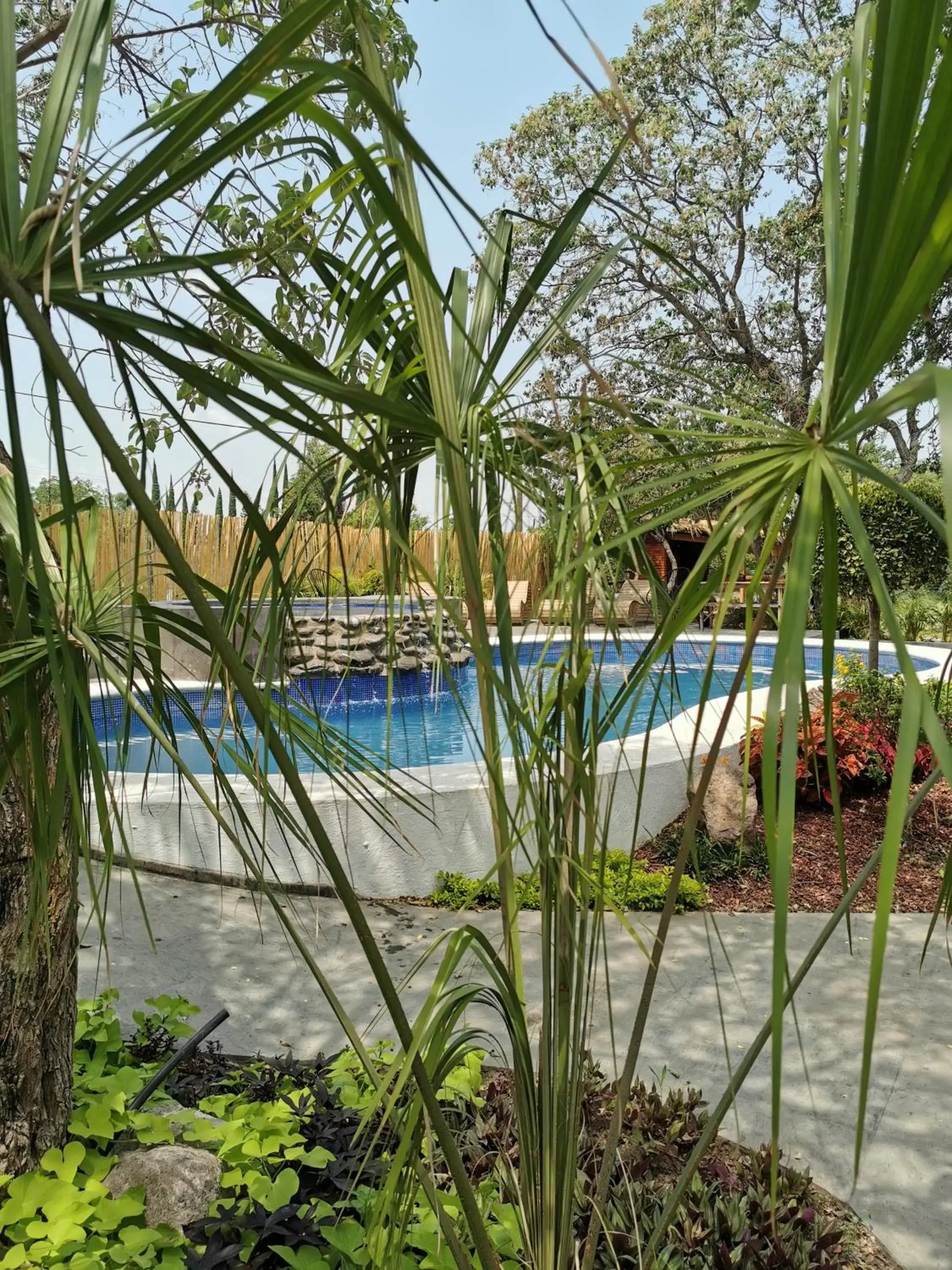 Garden, Swimming Pool in Villa Armonia Hotel & Spa