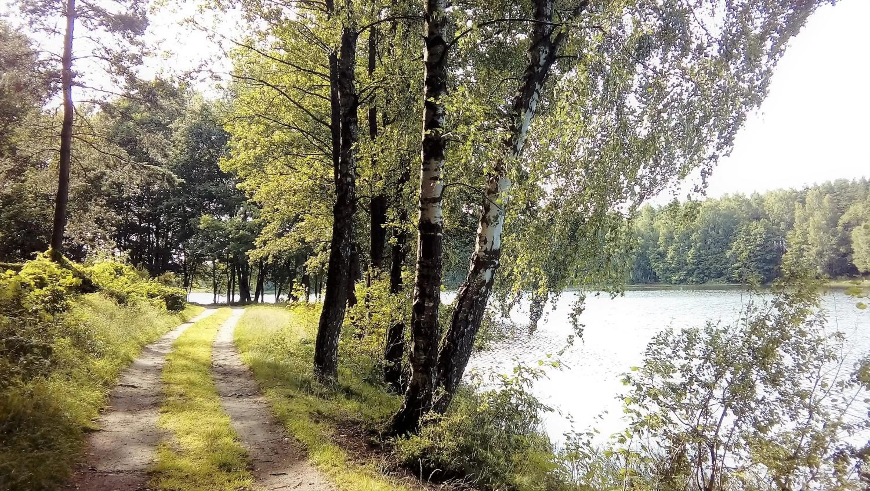 Neighbourhood in Hotel Miłosz Restauracja, Basen dla dzieci, Sala Zabaw, Siłownia