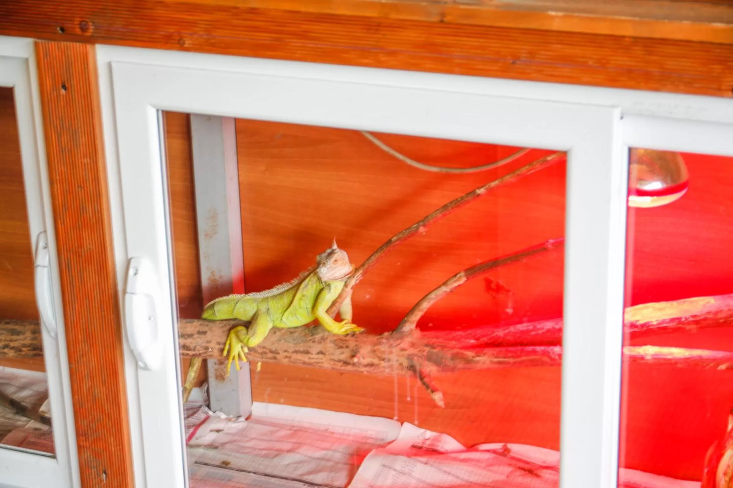 Property building in Hotel Shpella