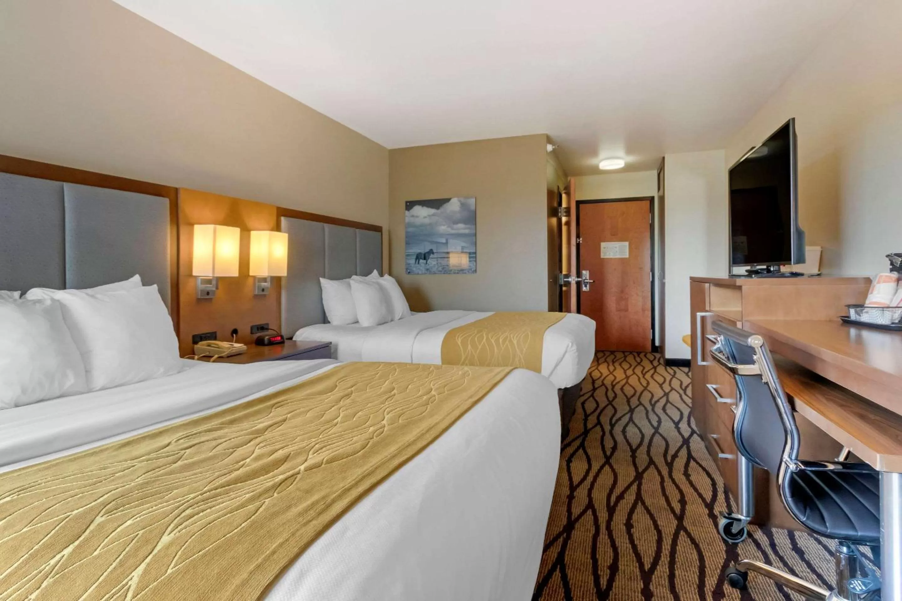 Photo of the whole room, Bed in Comfort Inn & Suites Market - Airport