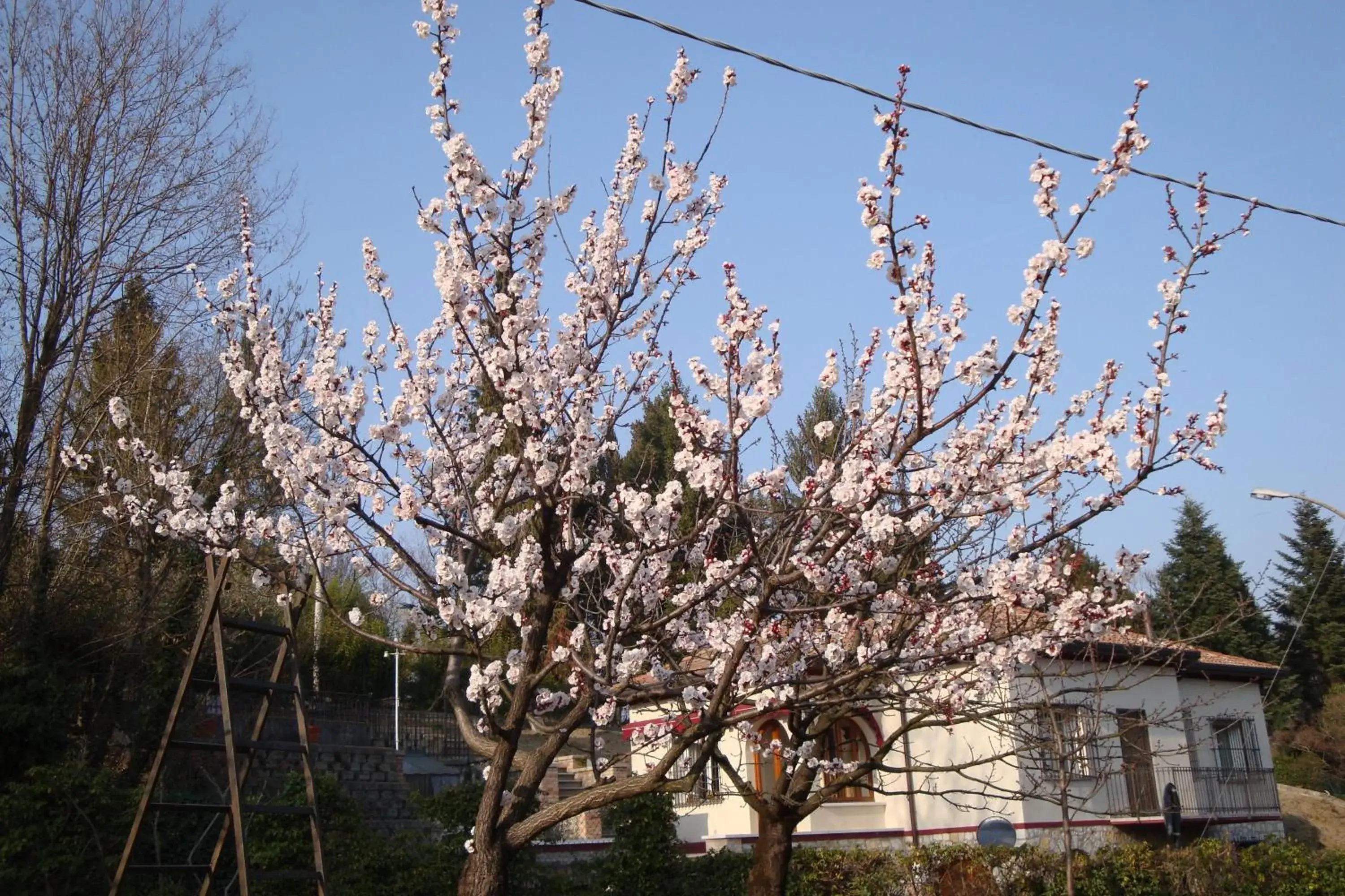 Spring, Winter in Sporting Hotel Ragno D'oro