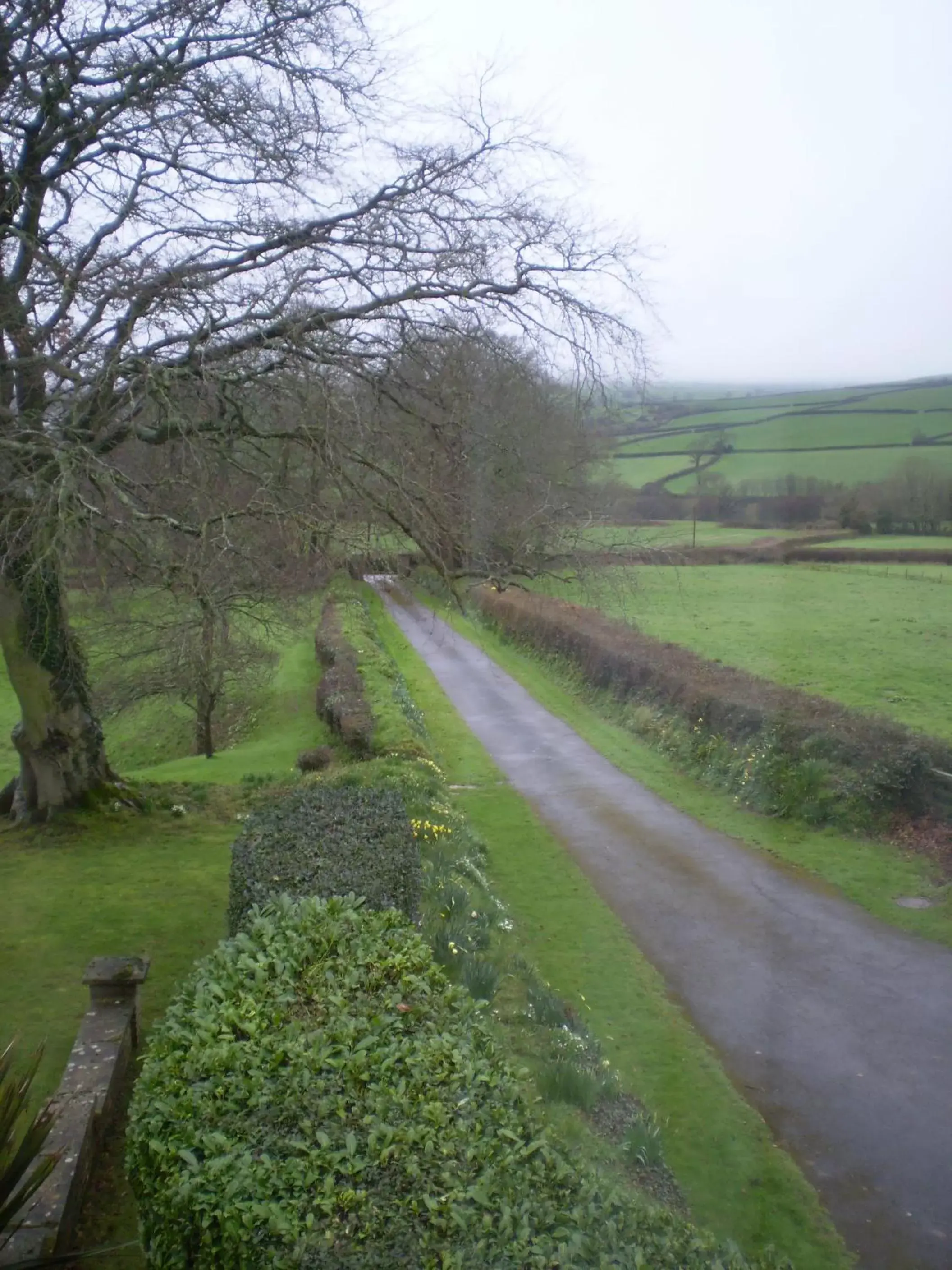 Garden view in Buckley Farmhouse