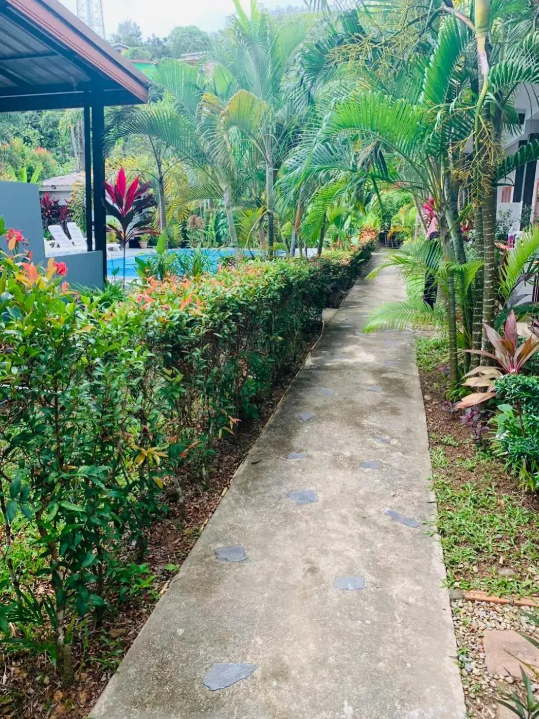 Natural landscape, Garden in Andawa Lanta Resort