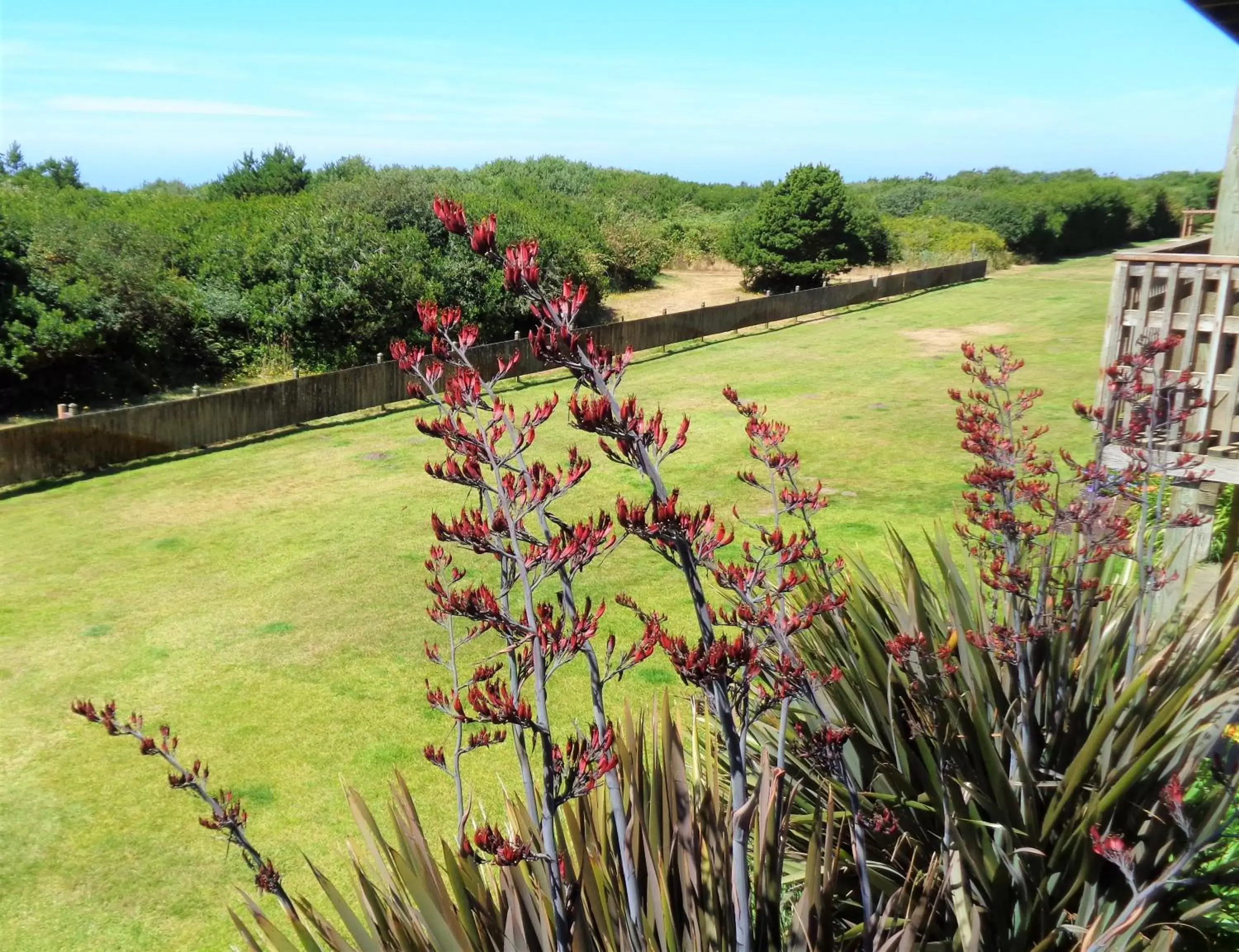 Natural landscape in The Polynesian Resort