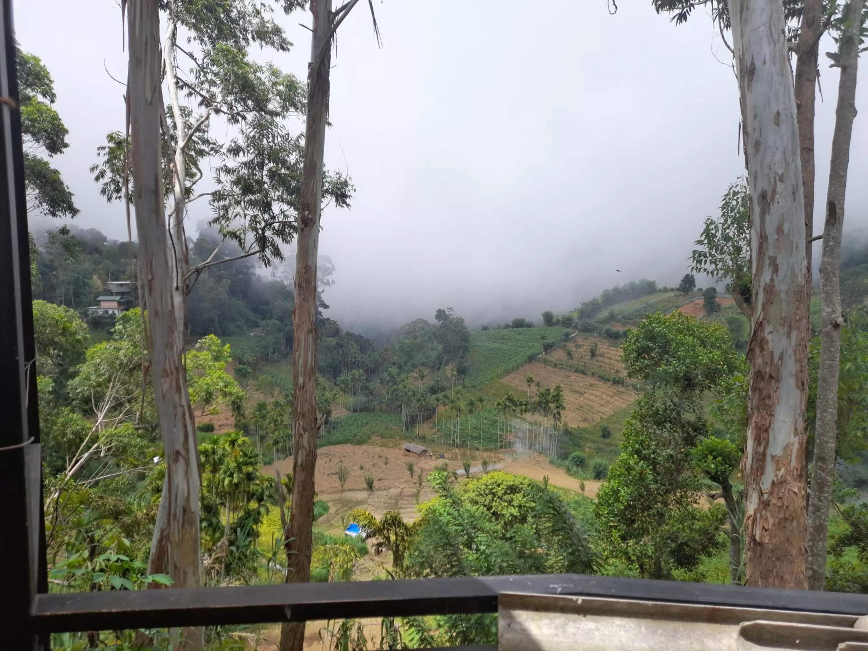 View (from property/room), View in Silent Nest