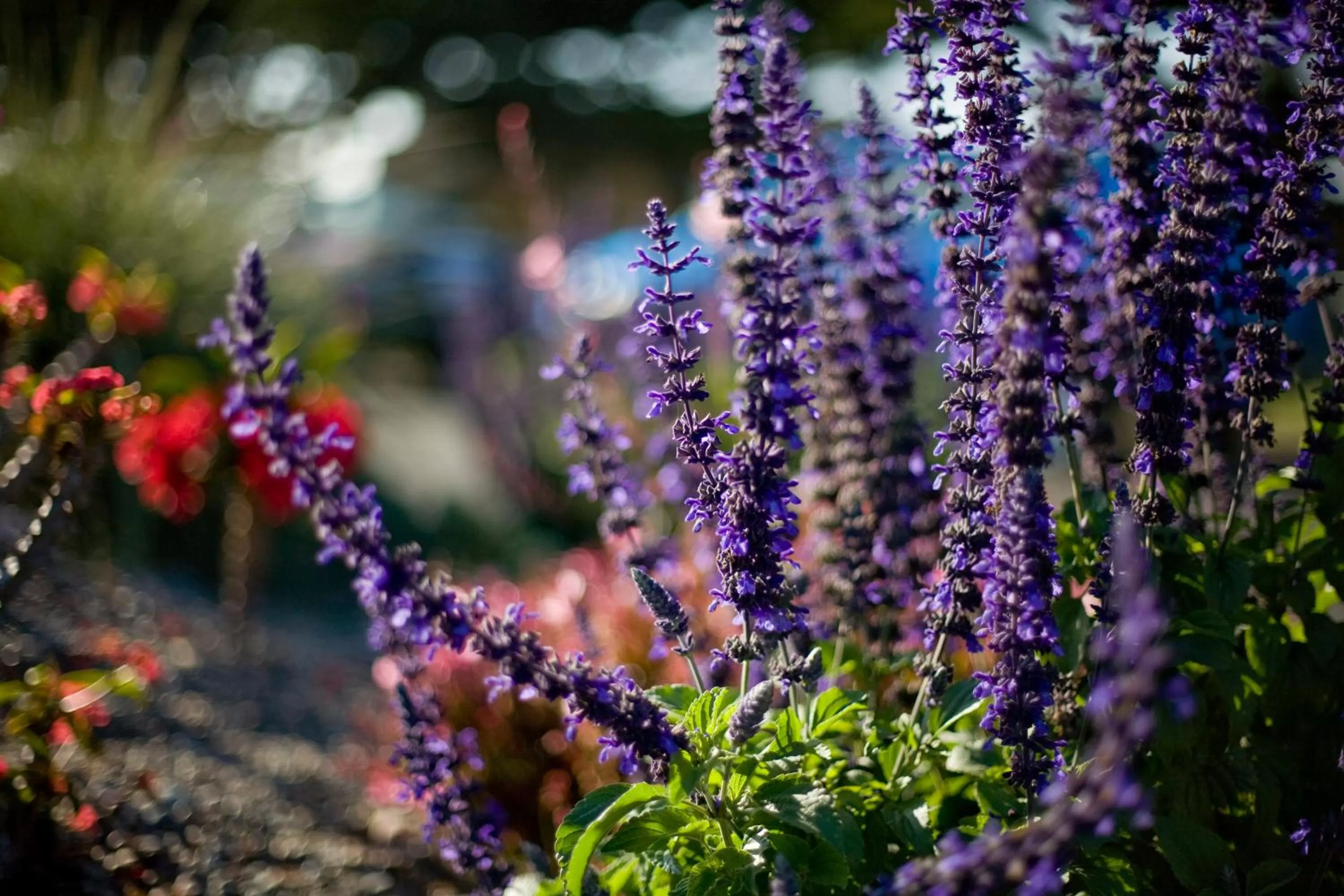 View (from property/room) in Cambria Shores Inn