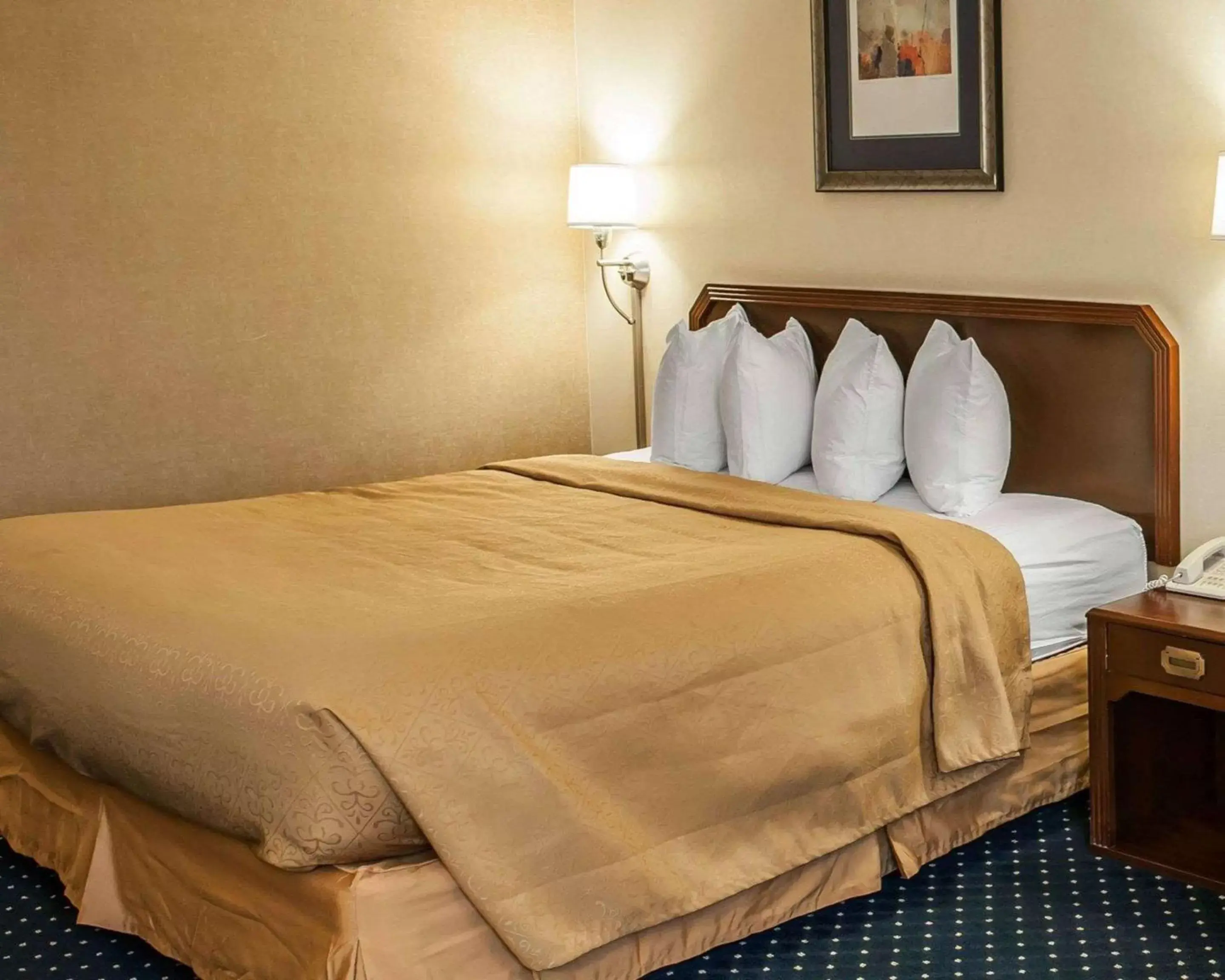 King Room - Disability Access/Non-Smoking in Quality Inn & Suites Goshen King Room - Disability Access/Non-Smoking in Quality Inn & Suites Goshen