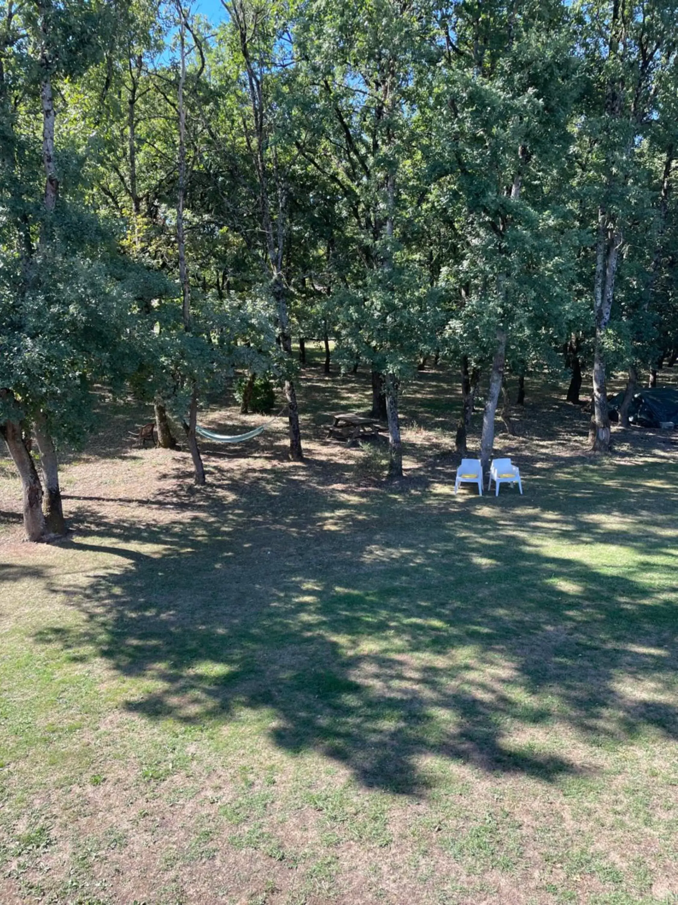 Garden view in LA PLANETTE