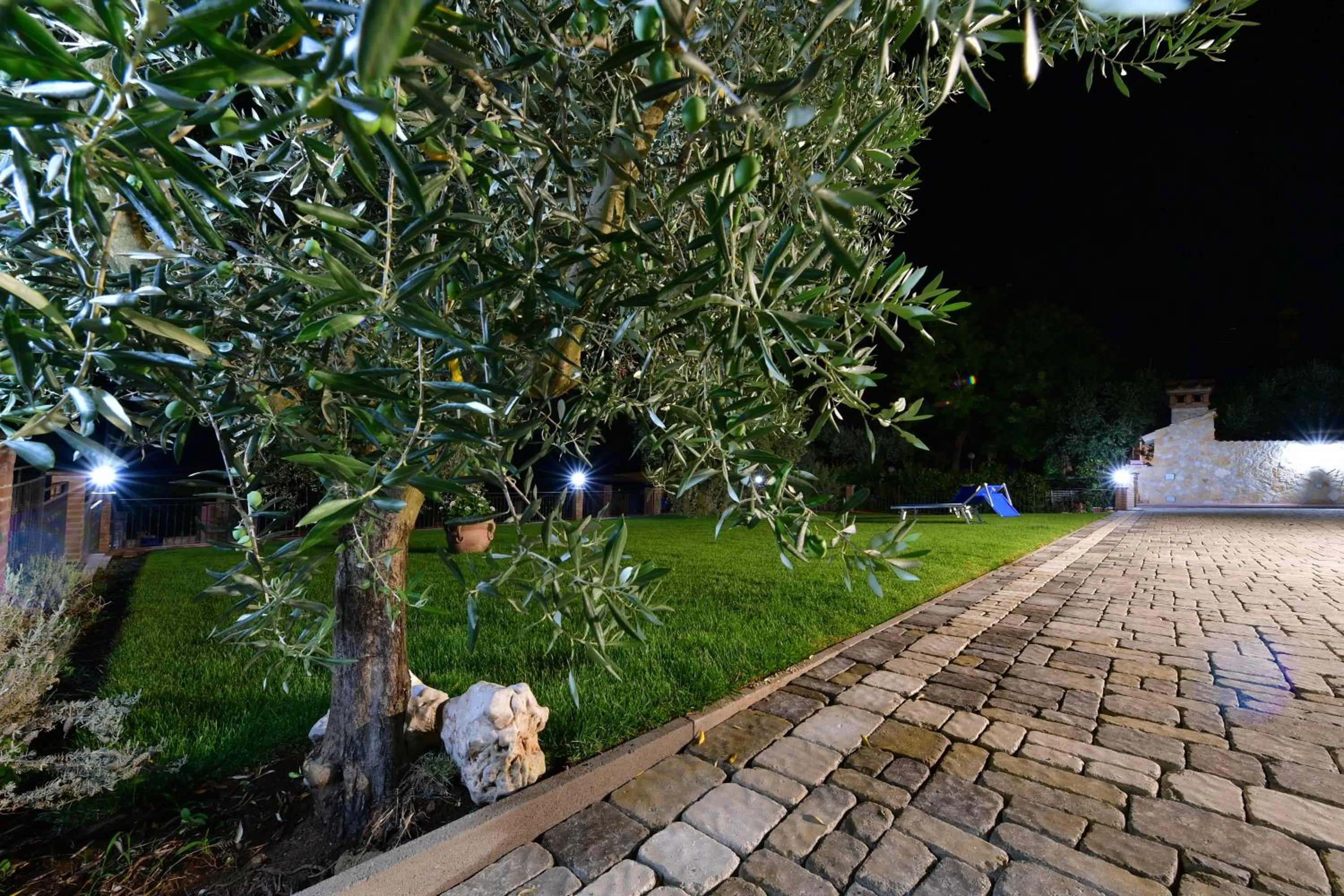 Night, Garden in B&B Roman Country Villa