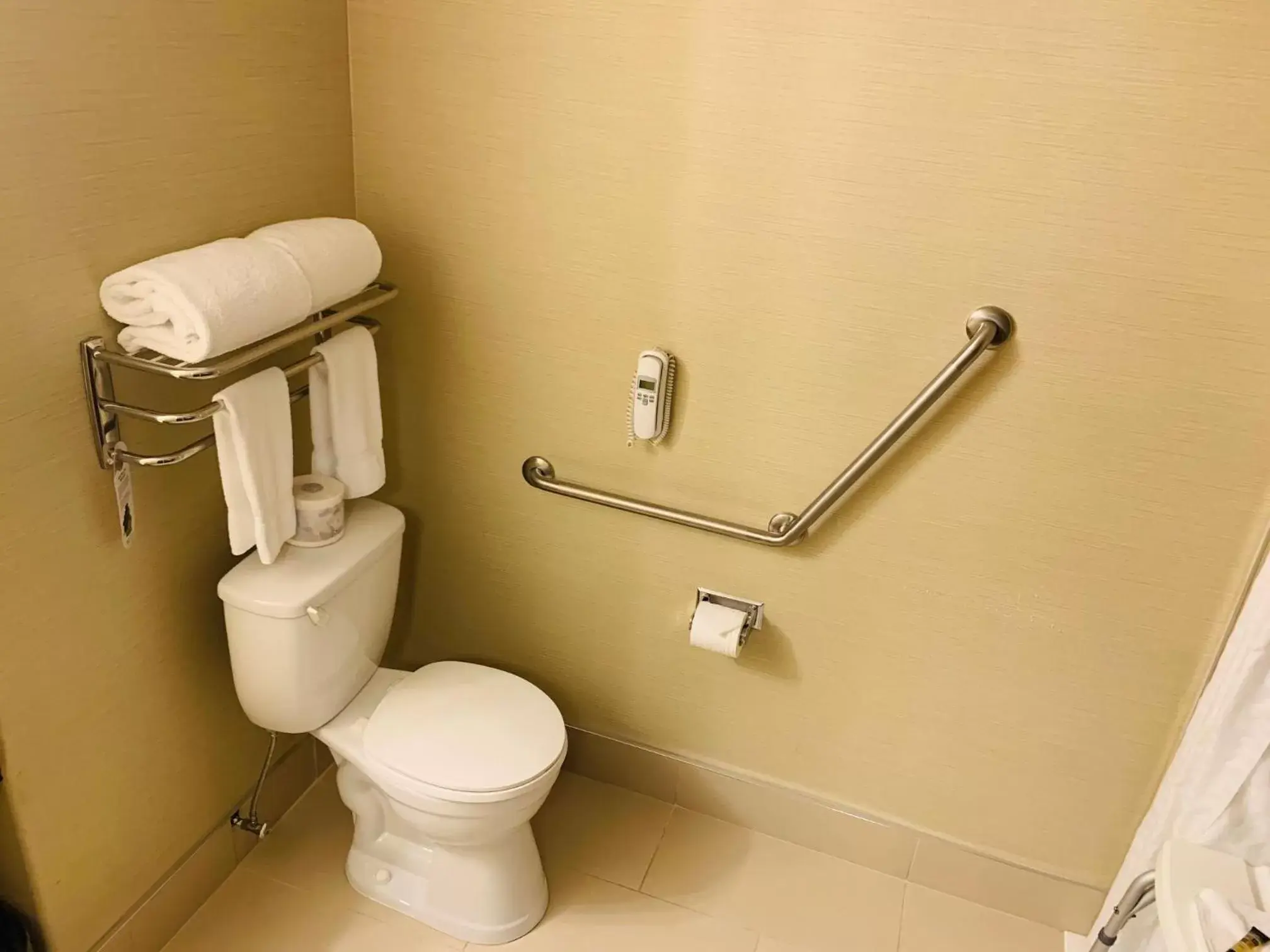 Toilet, Bathroom in The Kanata Inns Invermere