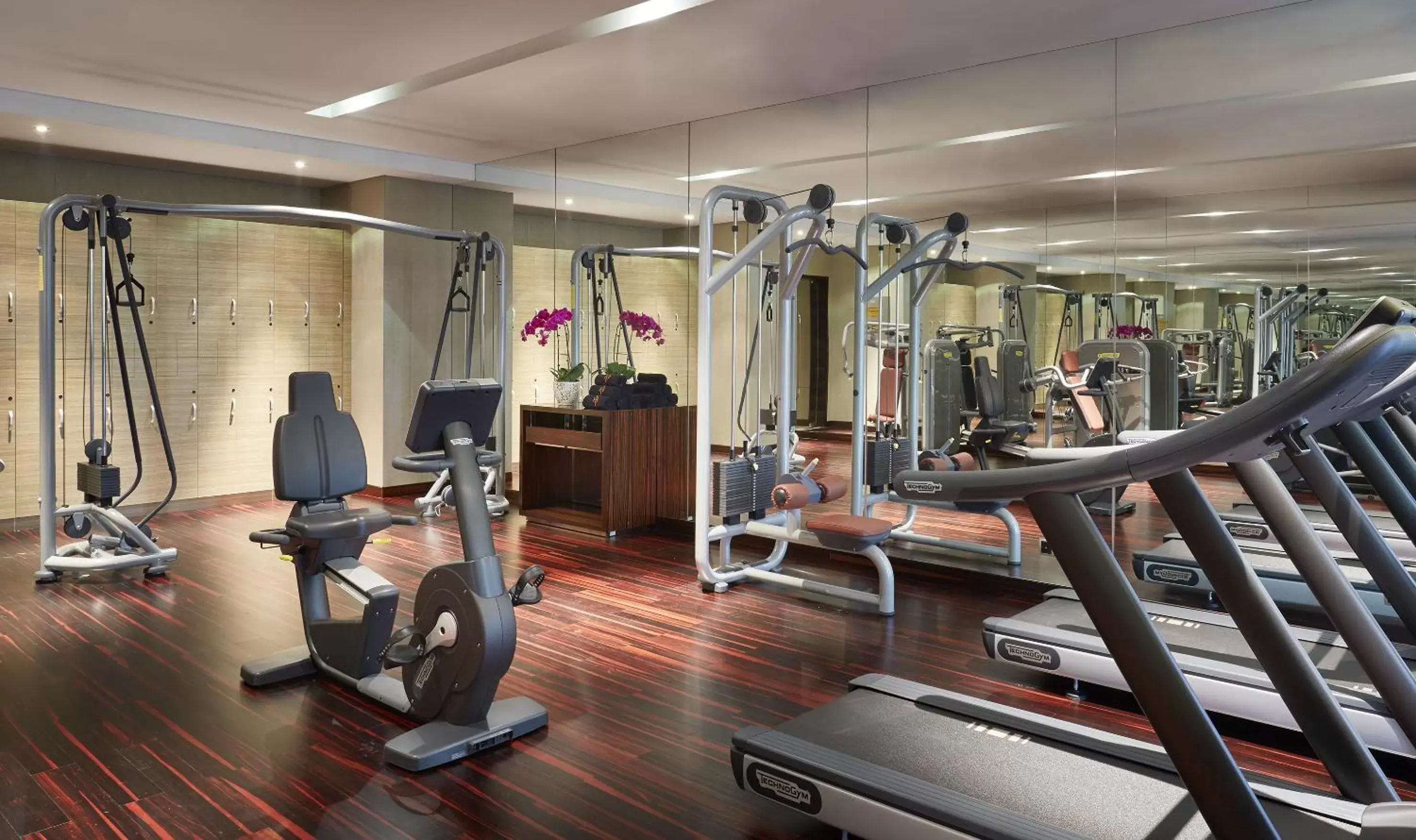 Fitness centre/facilities, Fitness Center/Facilities in Gran Melia Xi'an