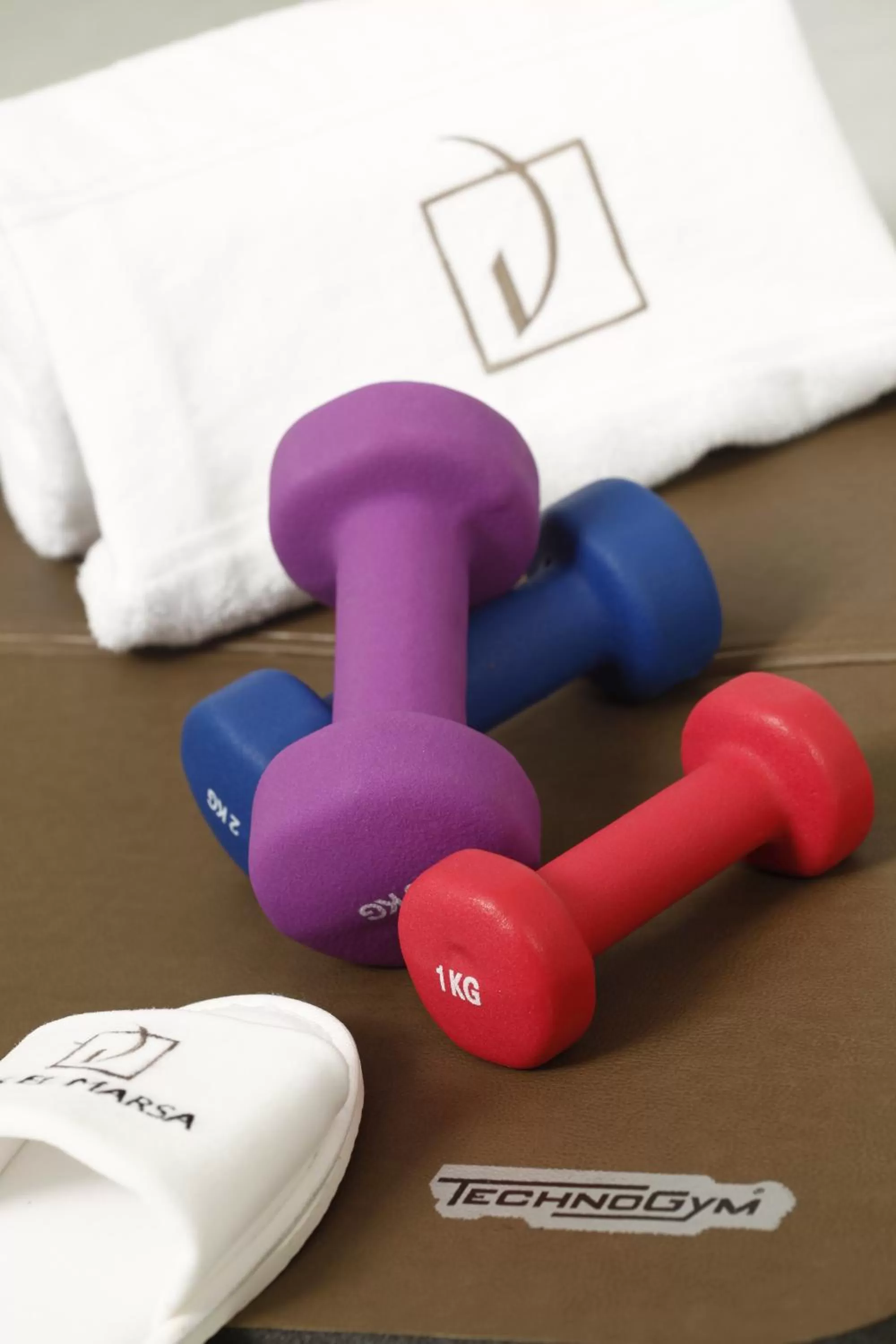 Fitness centre/facilities in Dar El Marsa Hotel & Spa