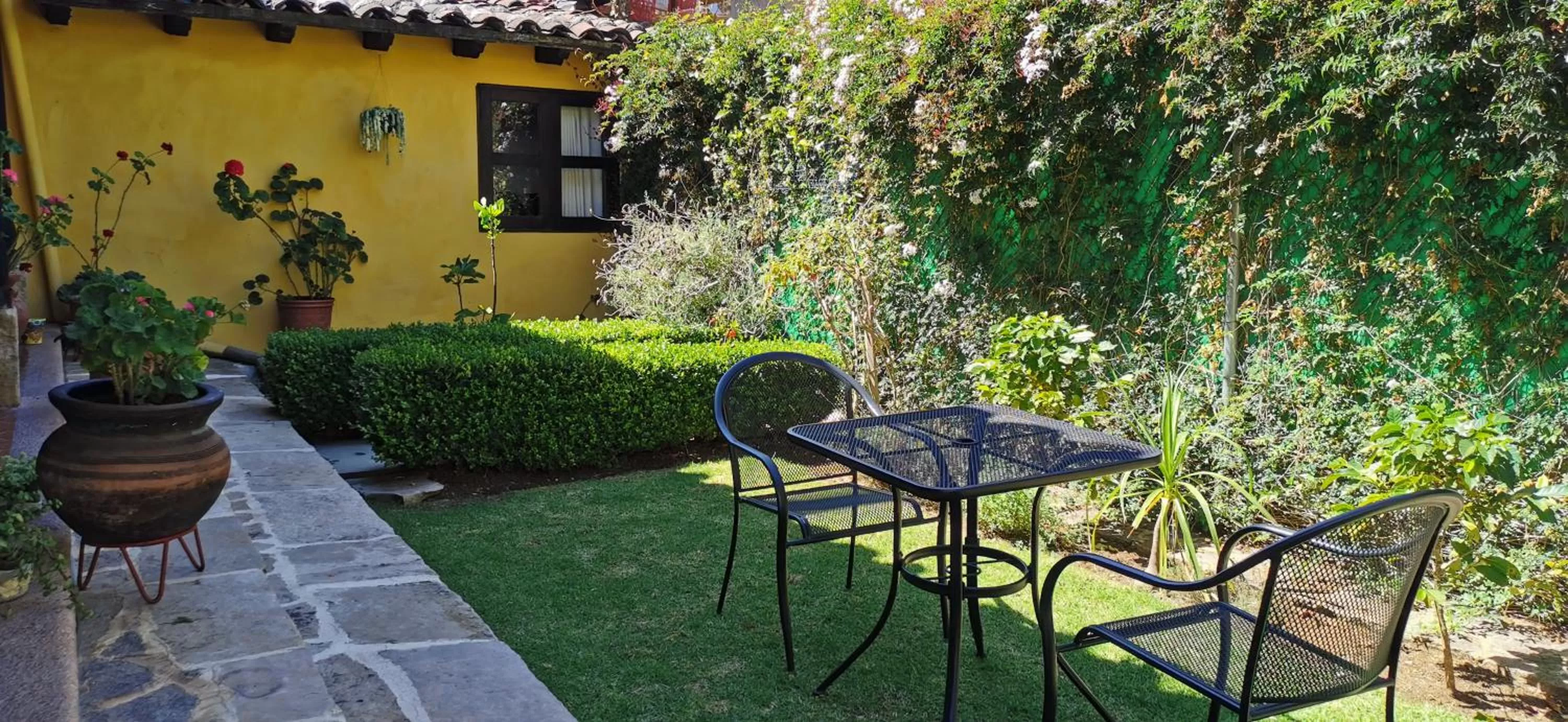 Garden in Hotel Ocho Barrios