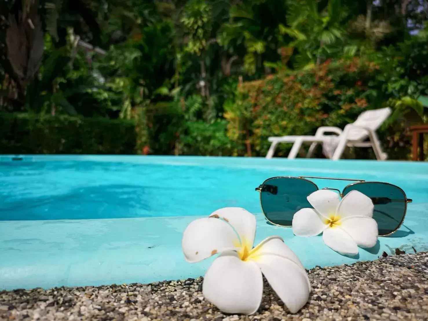 Time of day, Swimming Pool in Vipa Tropical Resort