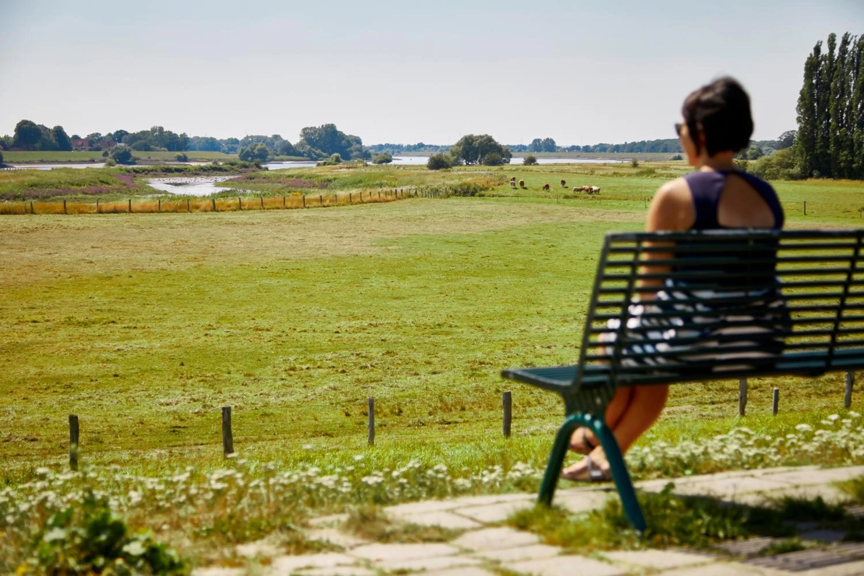 Hiking in Zollenspieker Fährhaus