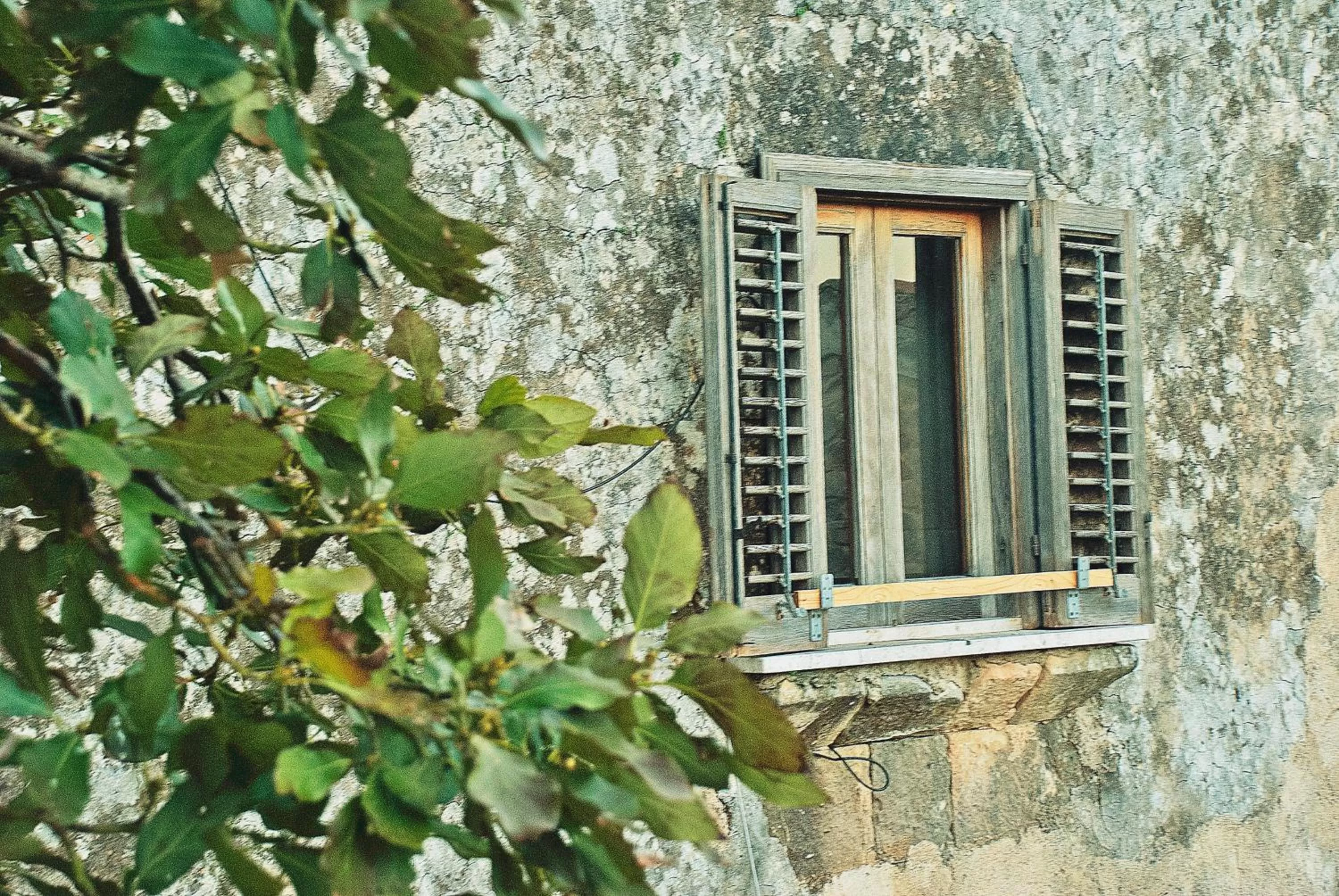 Property building in Vinciucci