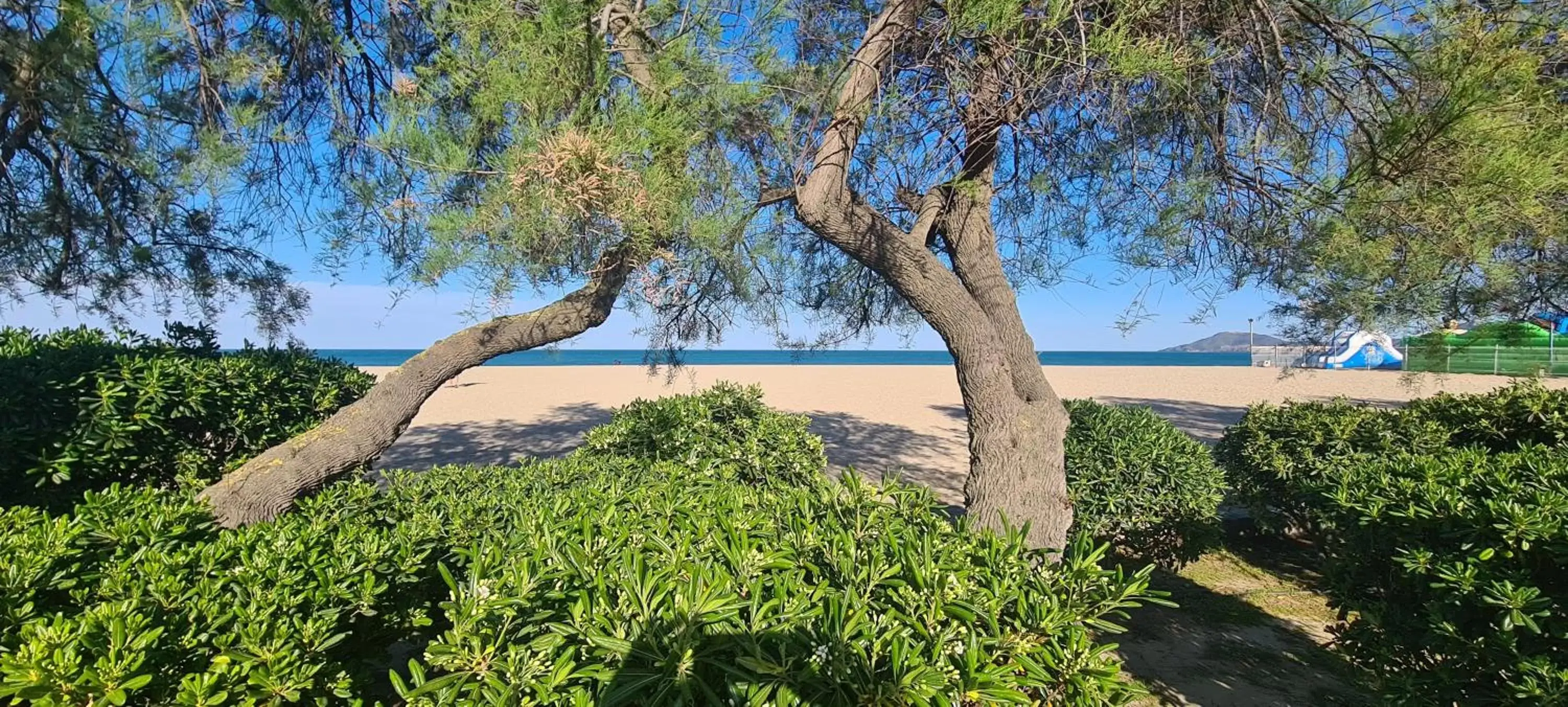 Natural landscape in Hôtel Le Maritime