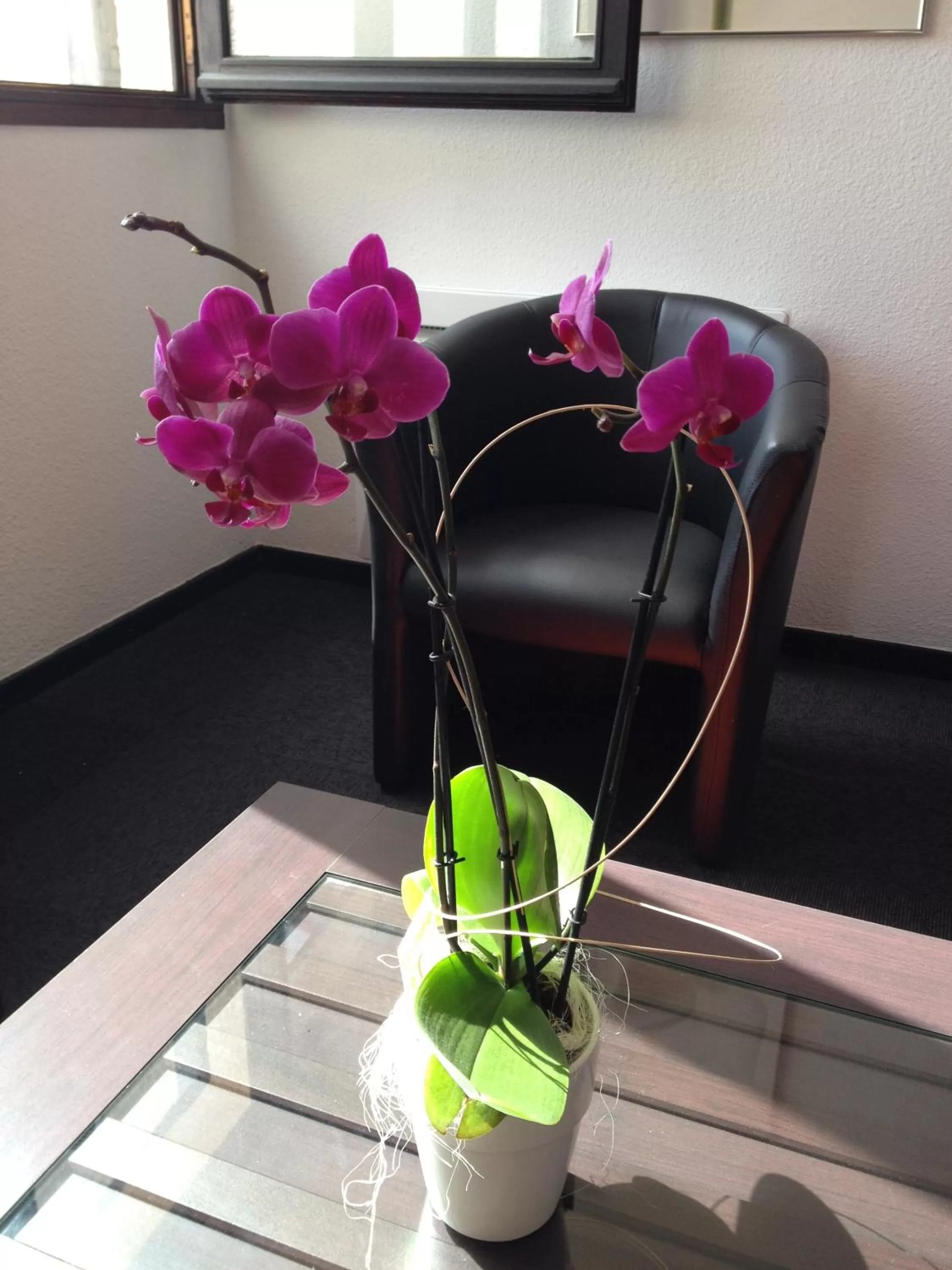 Decorative detail in Hôtel - Restaurant Le Saint Joseph