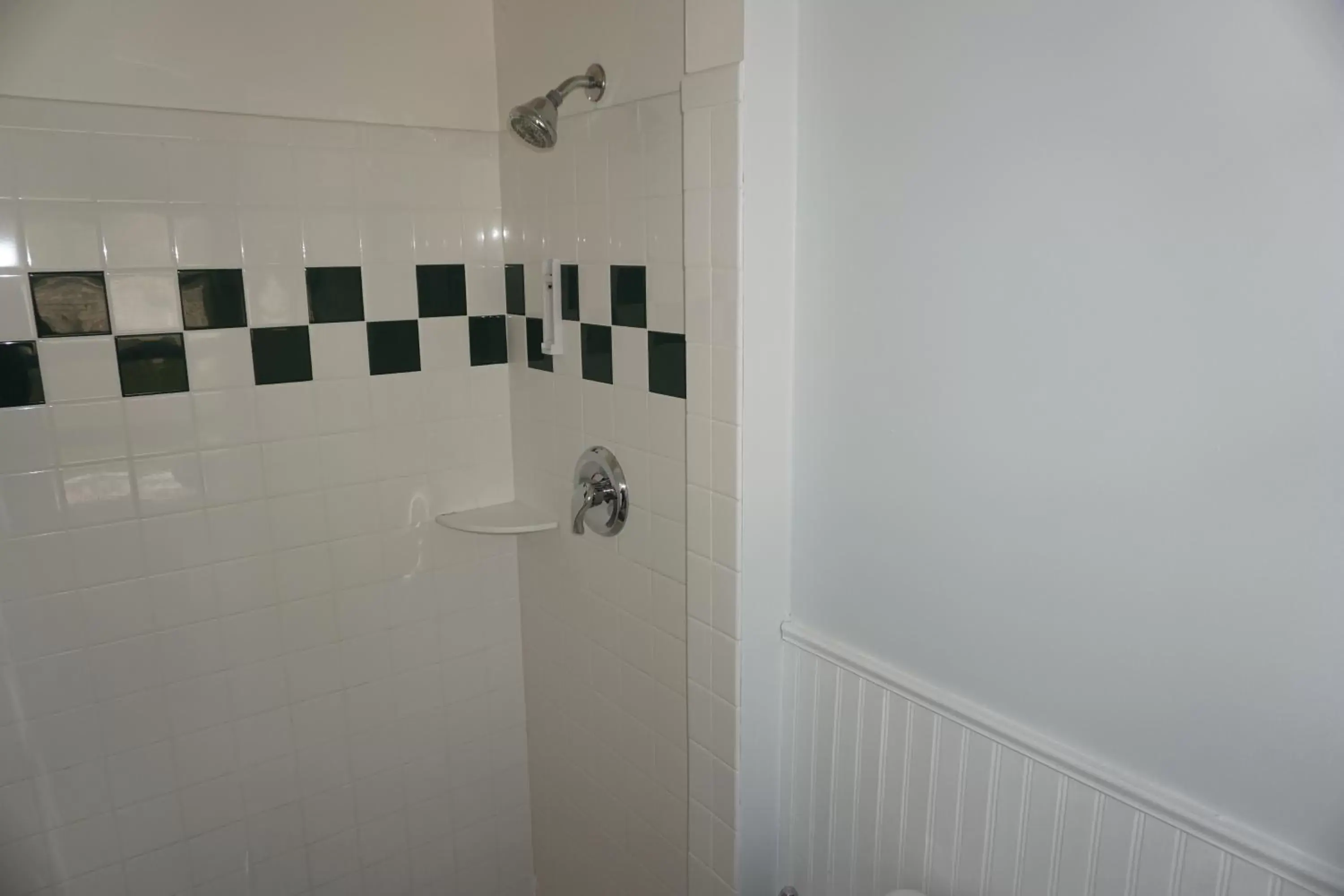 Bathroom in Charlevoix House - The Northside