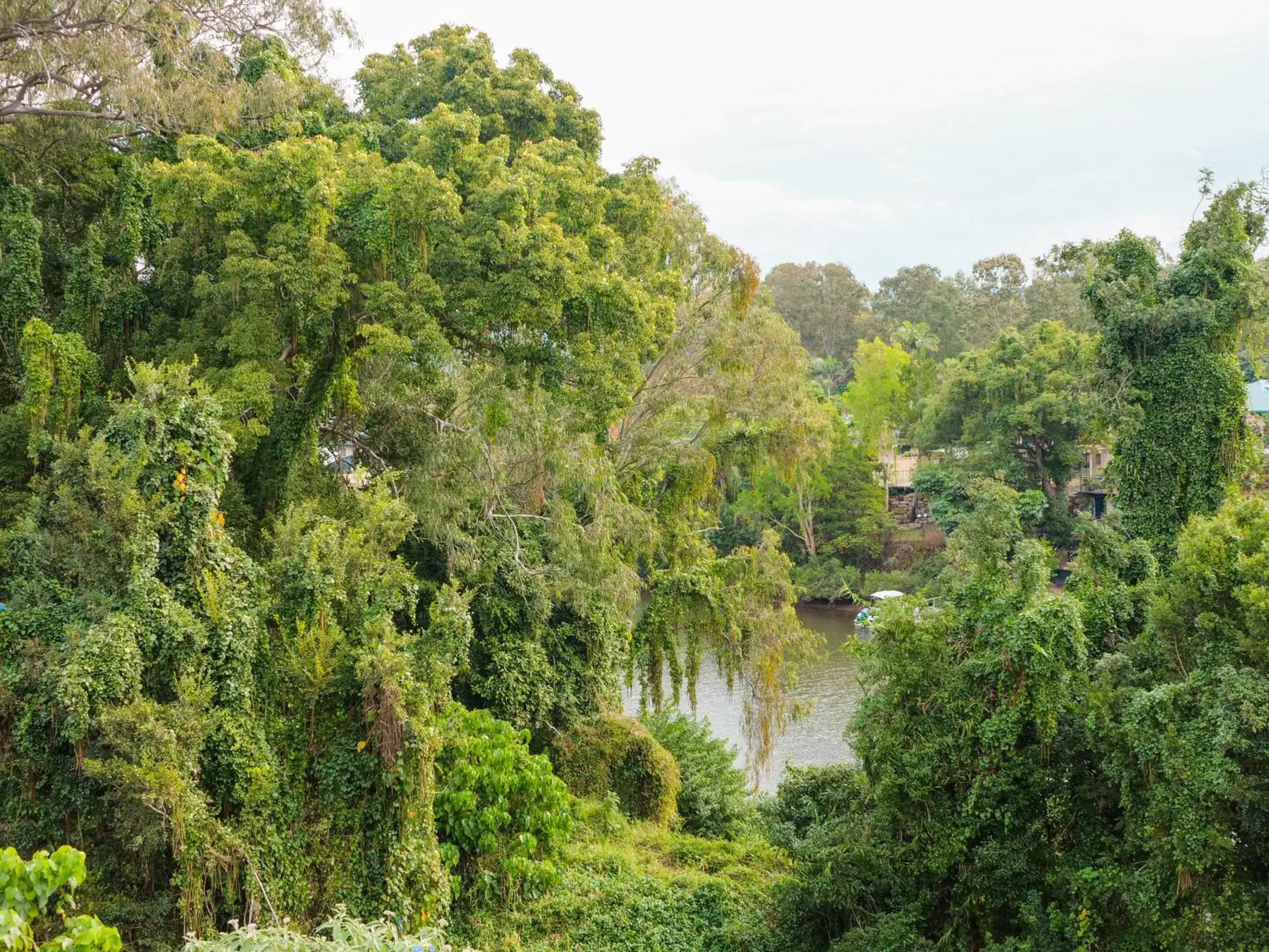 View (from property/room), Natural Landscape in Nightcap at Hinterland Hotel Nerang