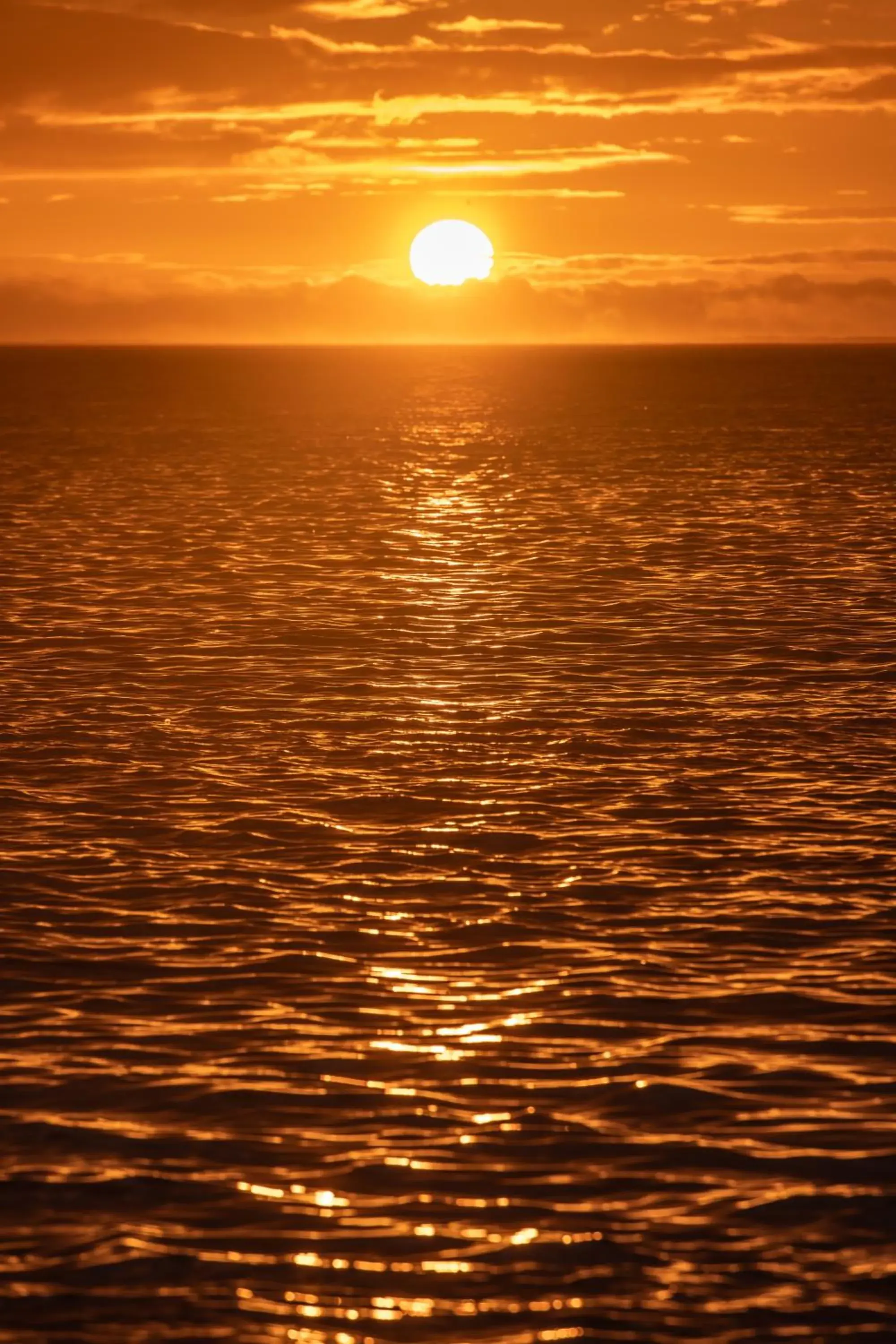 Sunset, Sunrise/Sunset in Hakuna Majiwe Beach Lodge Zanzibar