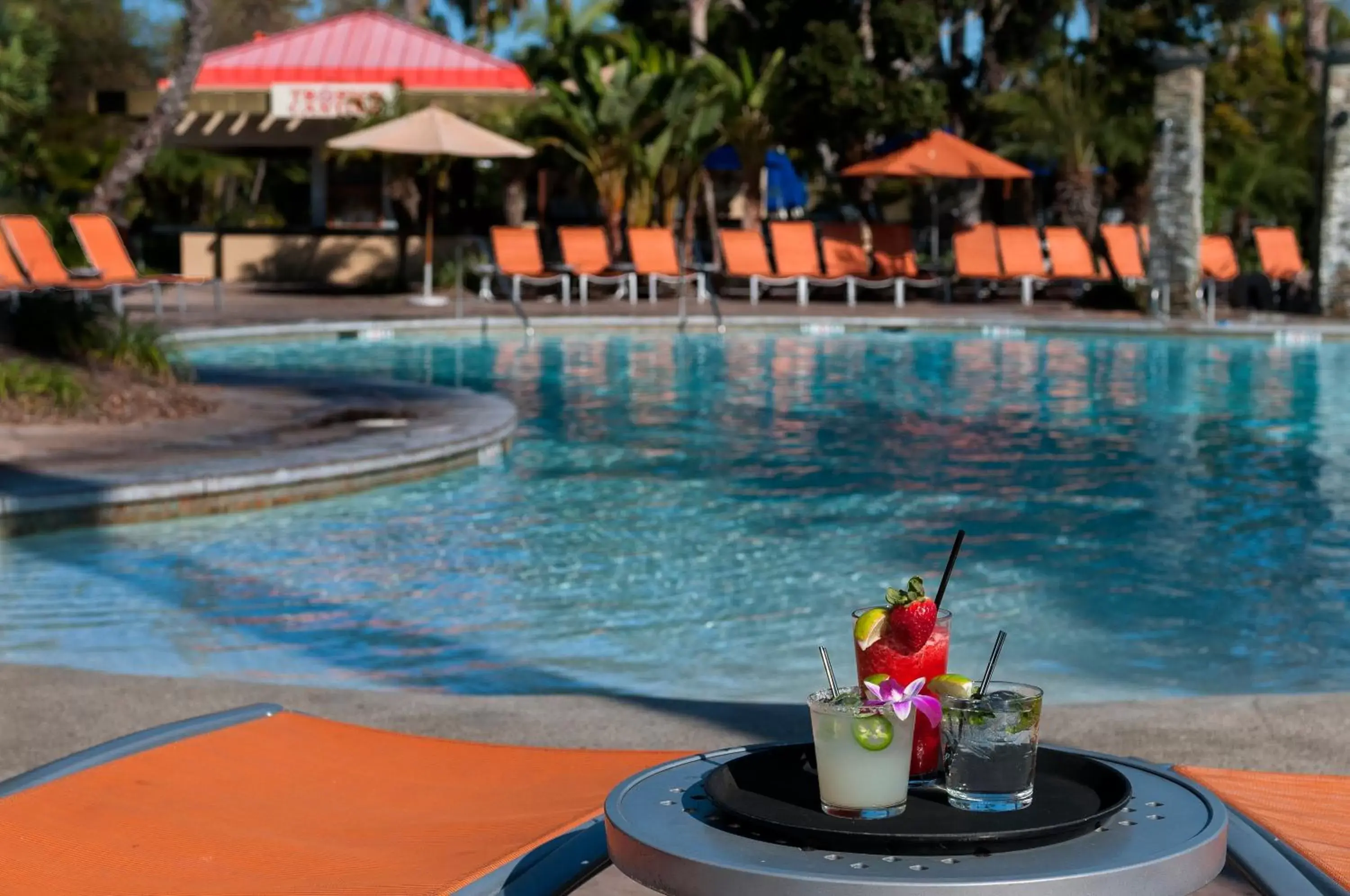 Swimming Pool in Paradise Point Resort & Spa