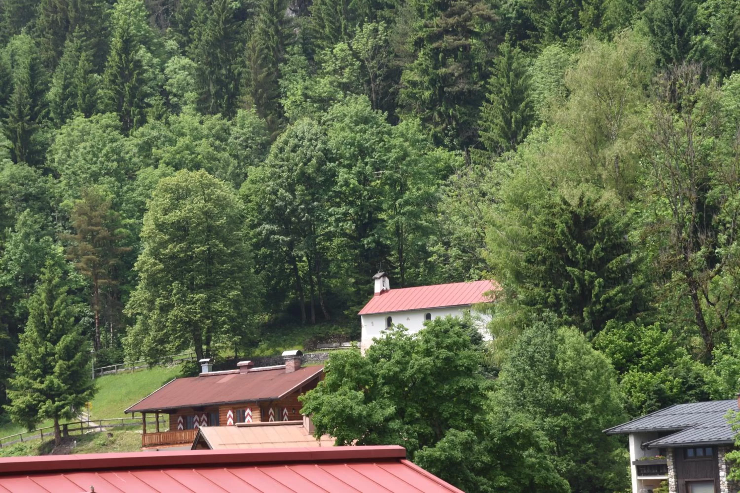 View (from property/room) in Theresenhof