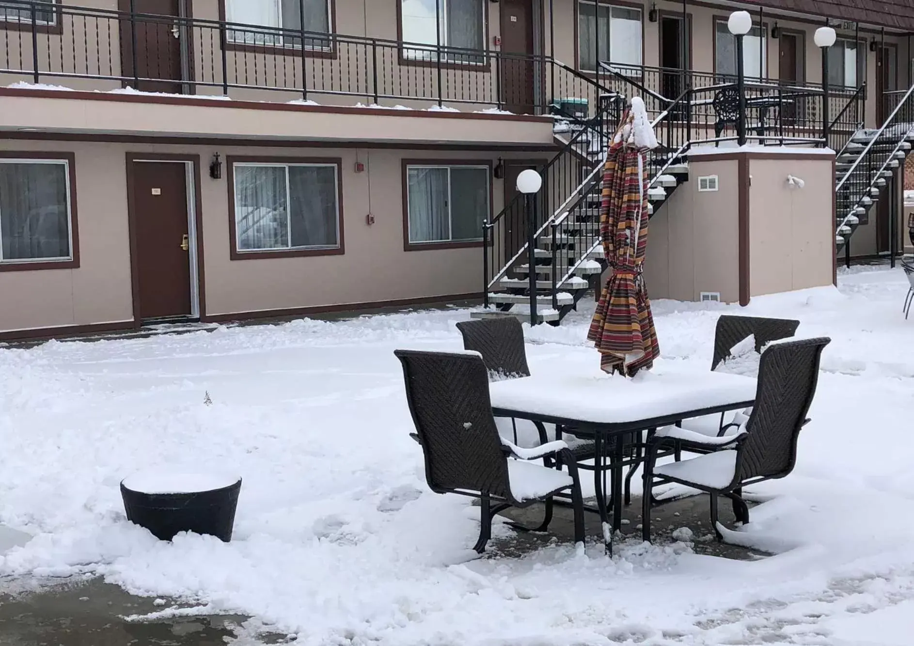 Garden, Winter in Bristlecone Motel