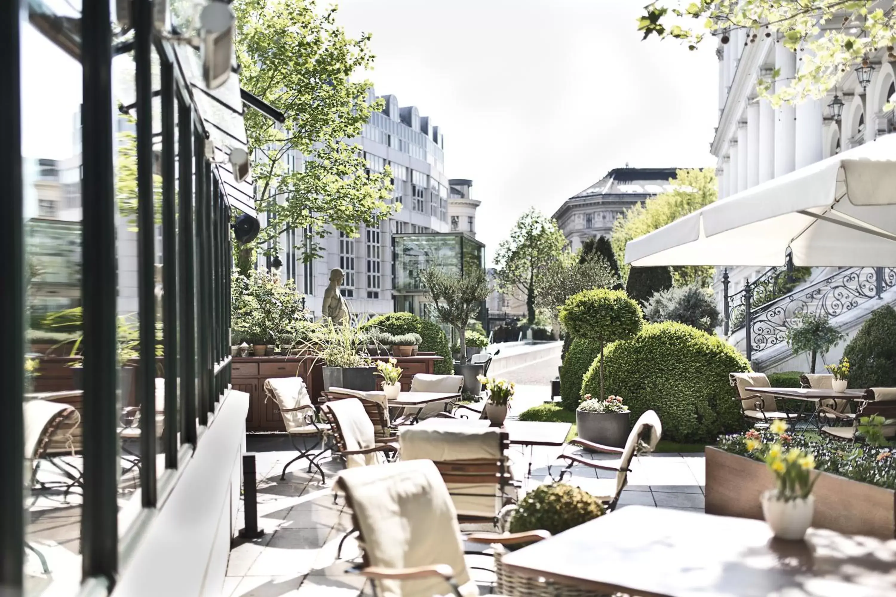 Restaurant/places to eat in Palais Coburg Hotel Restaurant/places to eat in Palais Coburg Hotel