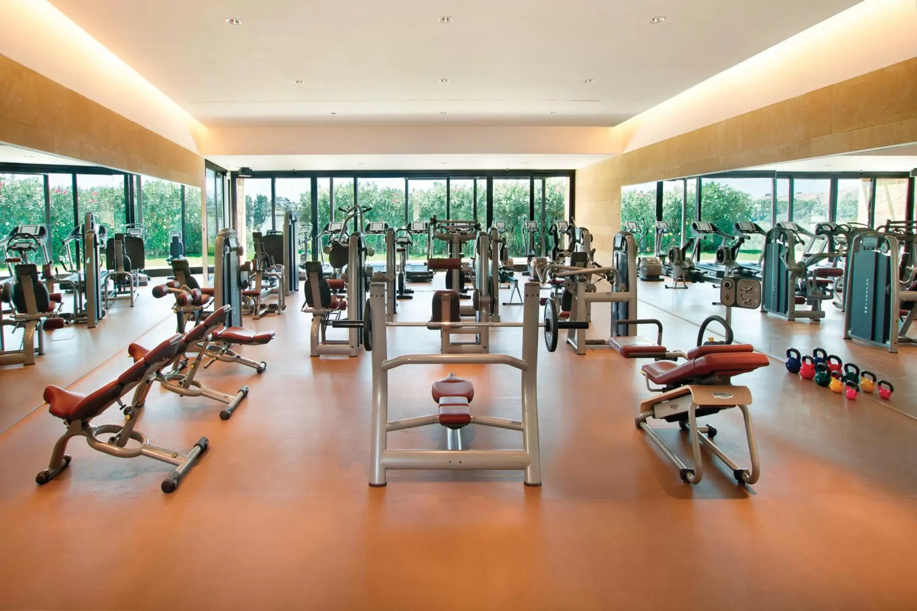 Fitness centre/facilities, Fitness Center/Facilities in Verdura Resort